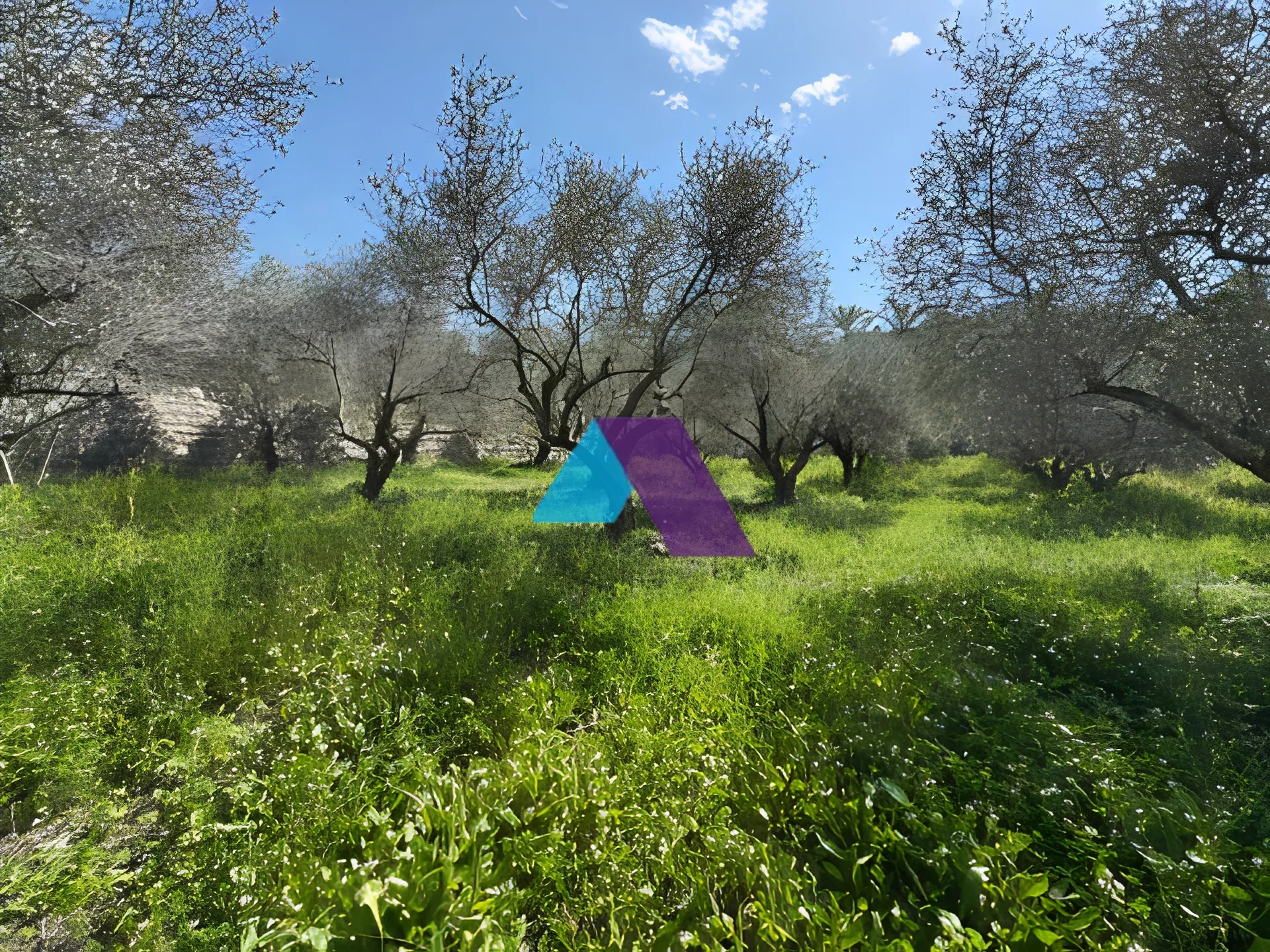 Land for Sale in Rihani