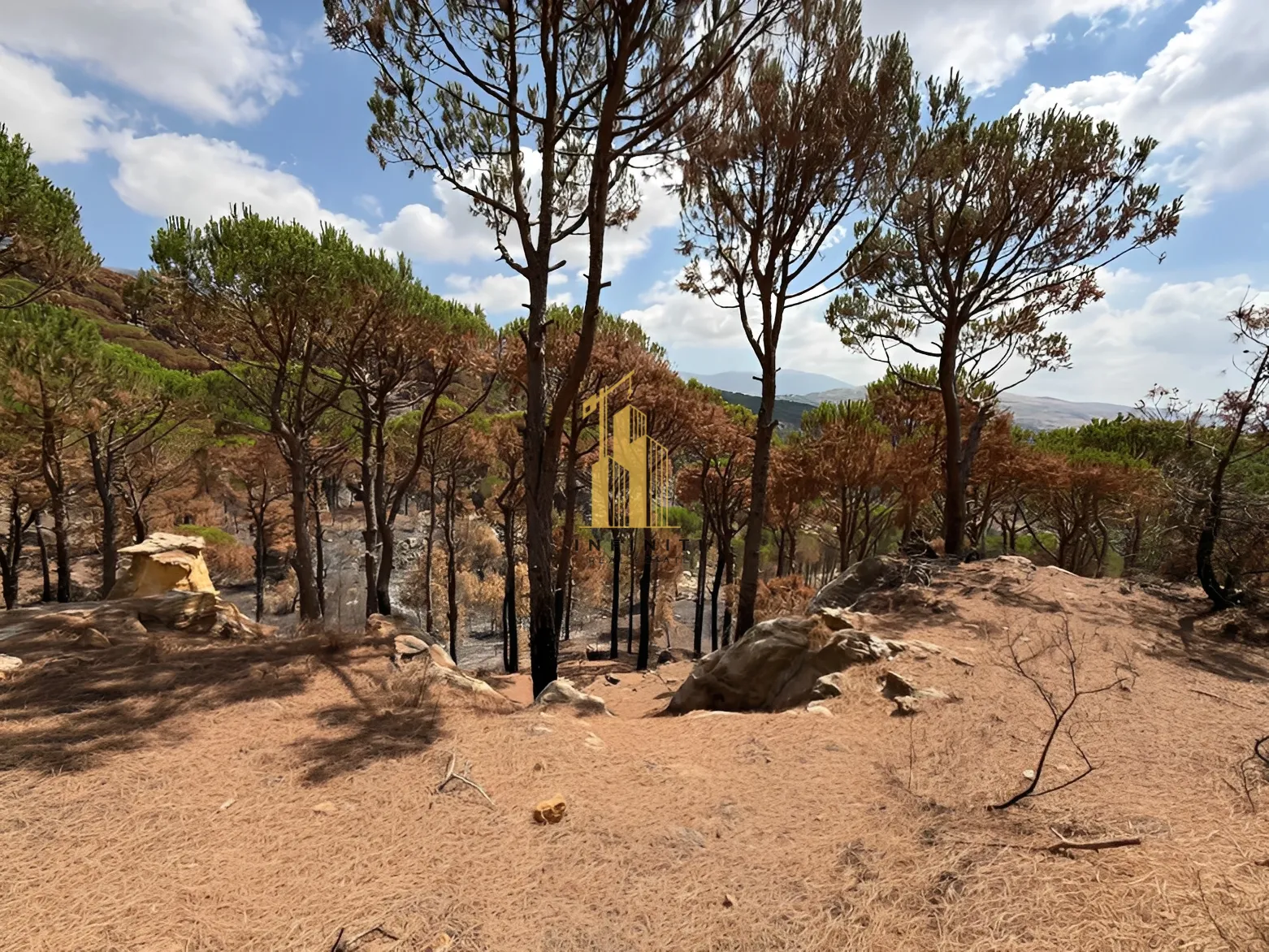 Land for Sale in Bmahray, Lebanon