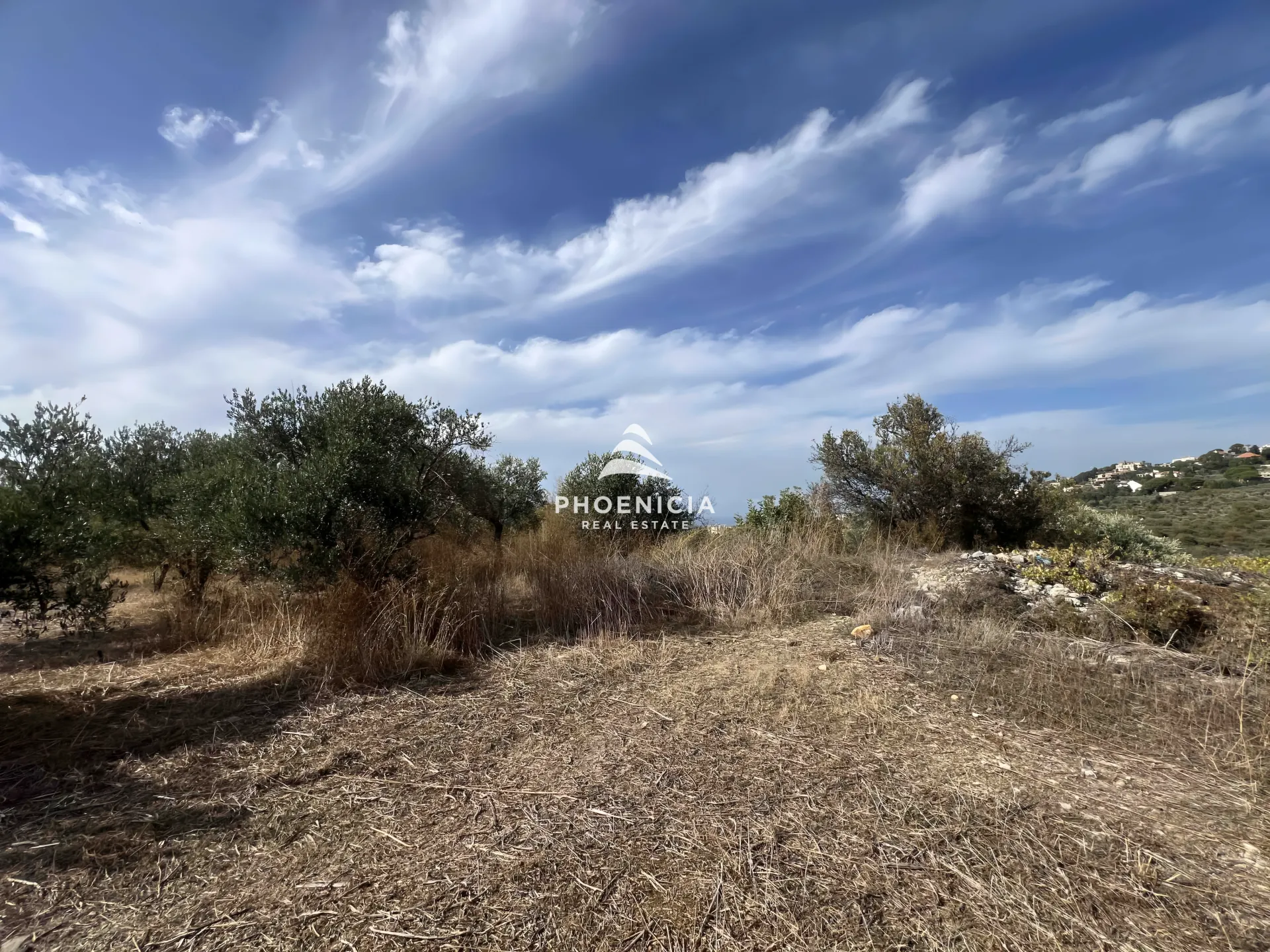 Land for Sale in Chikhane