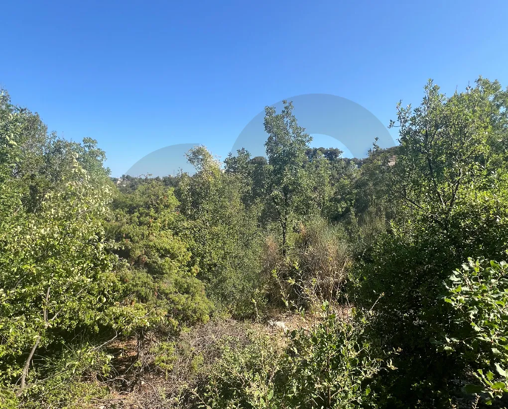 Land for Sale in Mechmech