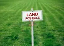 Land for Sale in Tannourine El Tahta
