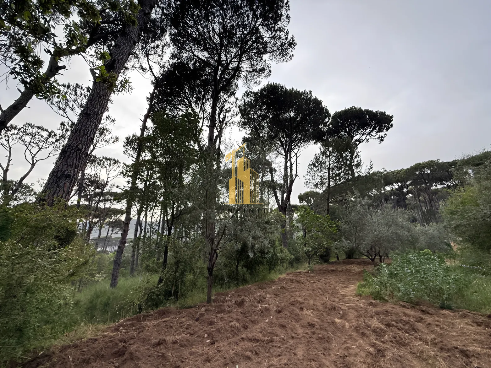 Residential Land for sale in Ighmid, Lebanon
