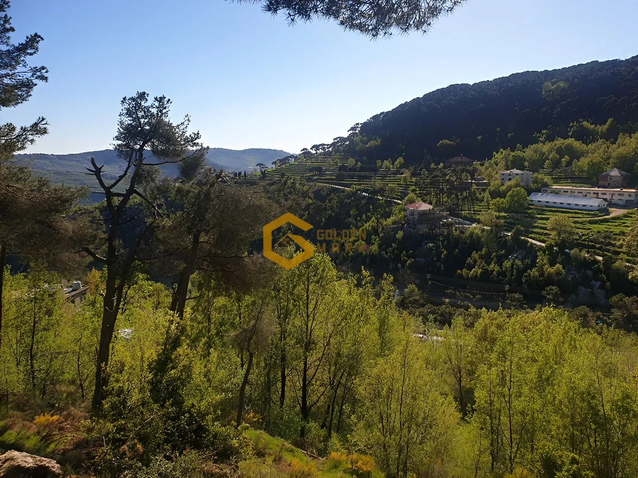 Land for Sale in Baskinta