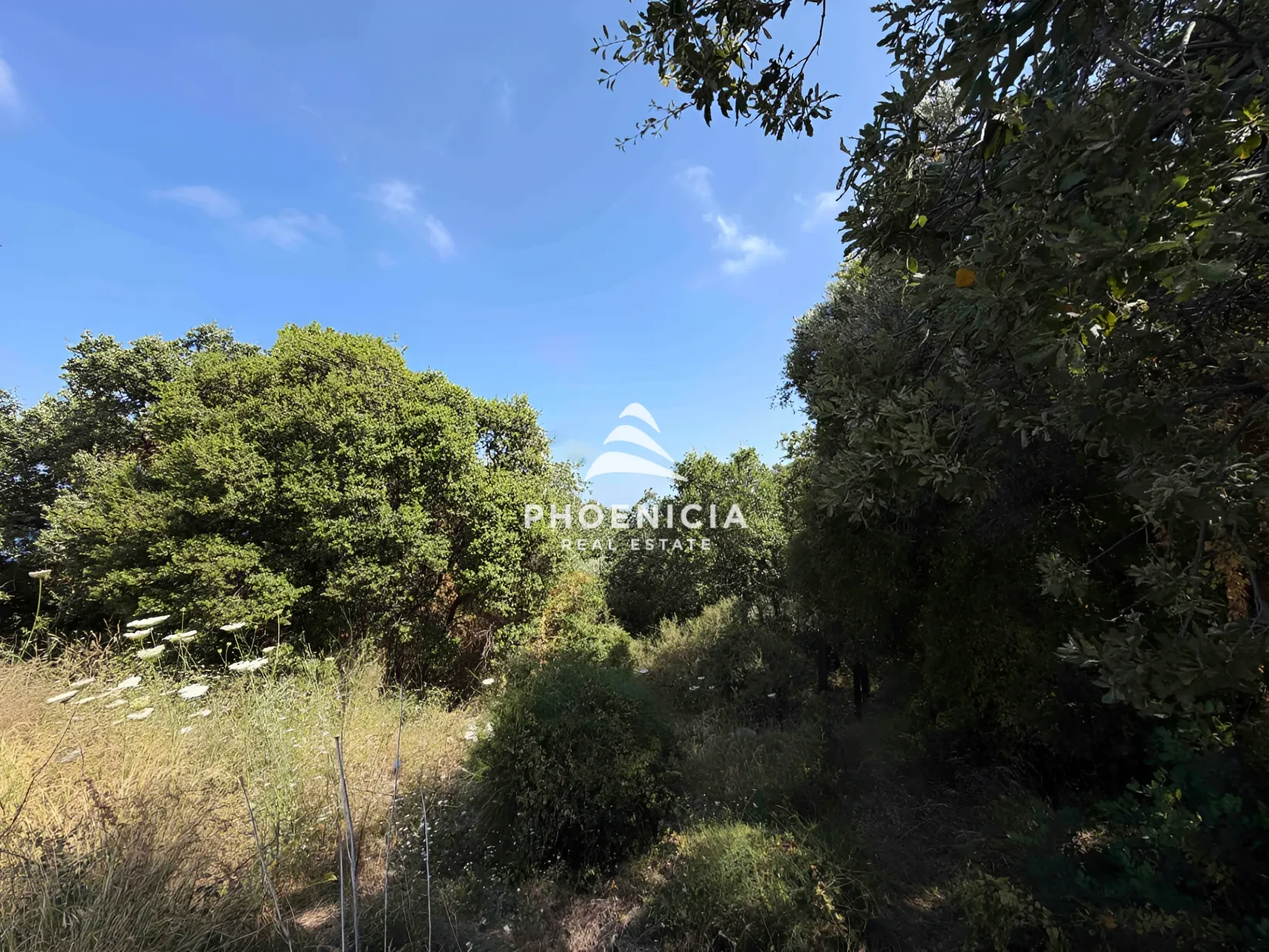 Residential Land for sale in Tehoum, Lebanon