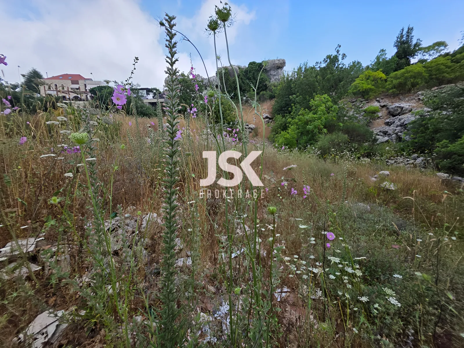 Land for Sale in Faitroun