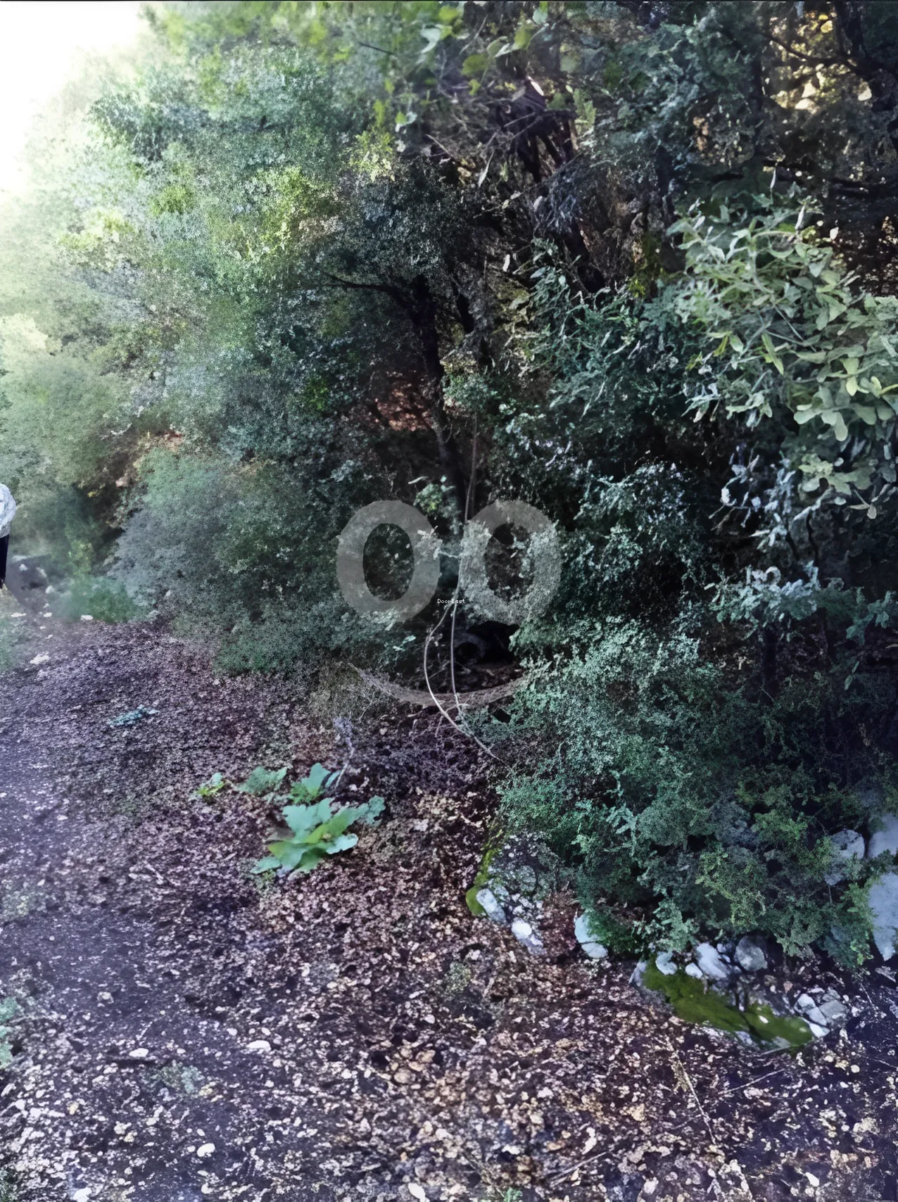 Residential Land for sale in Halta