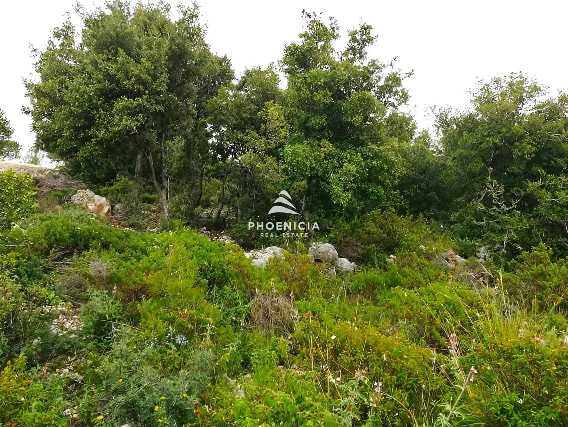 Land for Sale in Blat