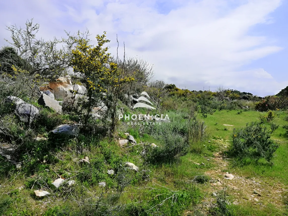 Land for sale in Chikhane, Jbeil, Lebanon