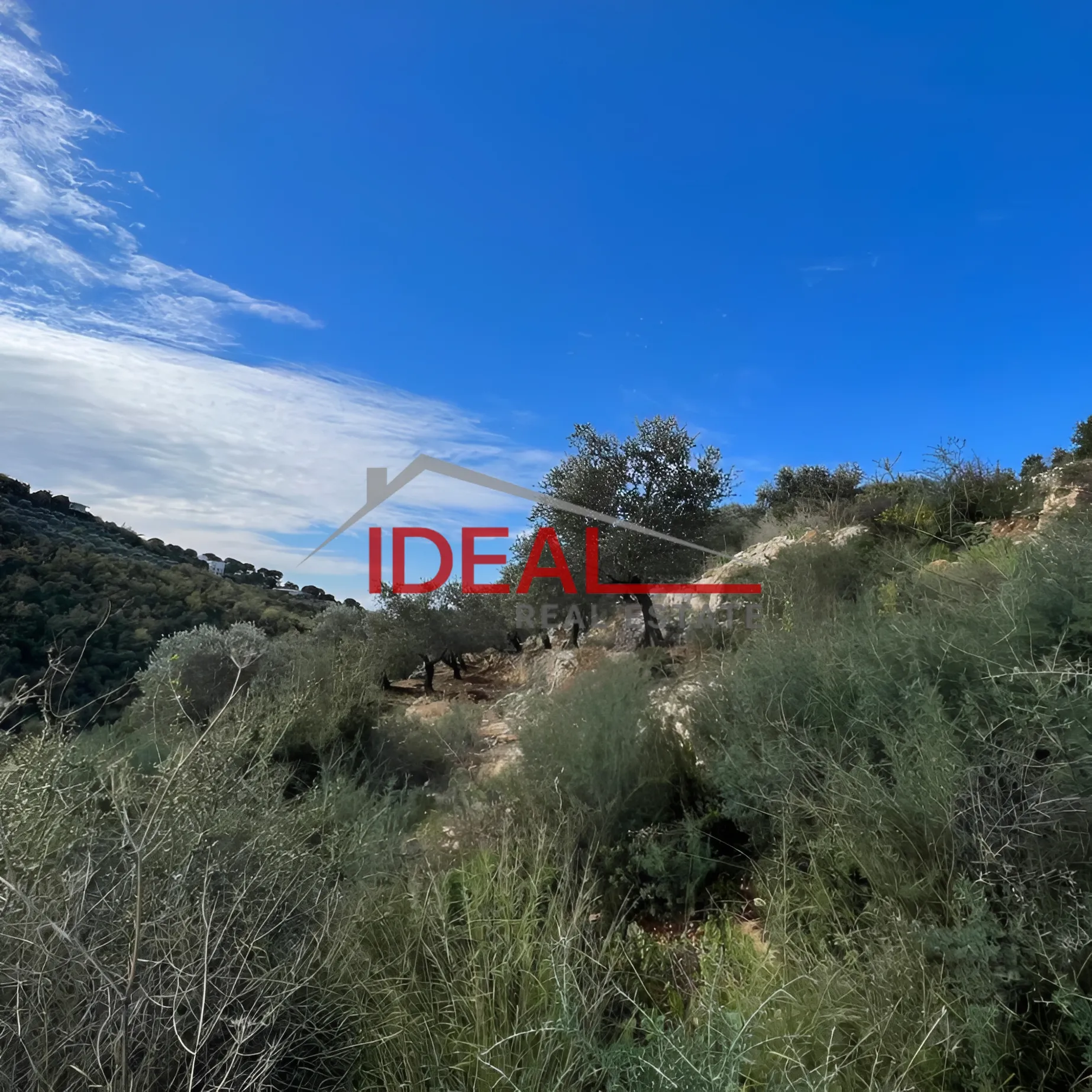 Land for Sale in Sourat, Lebanon