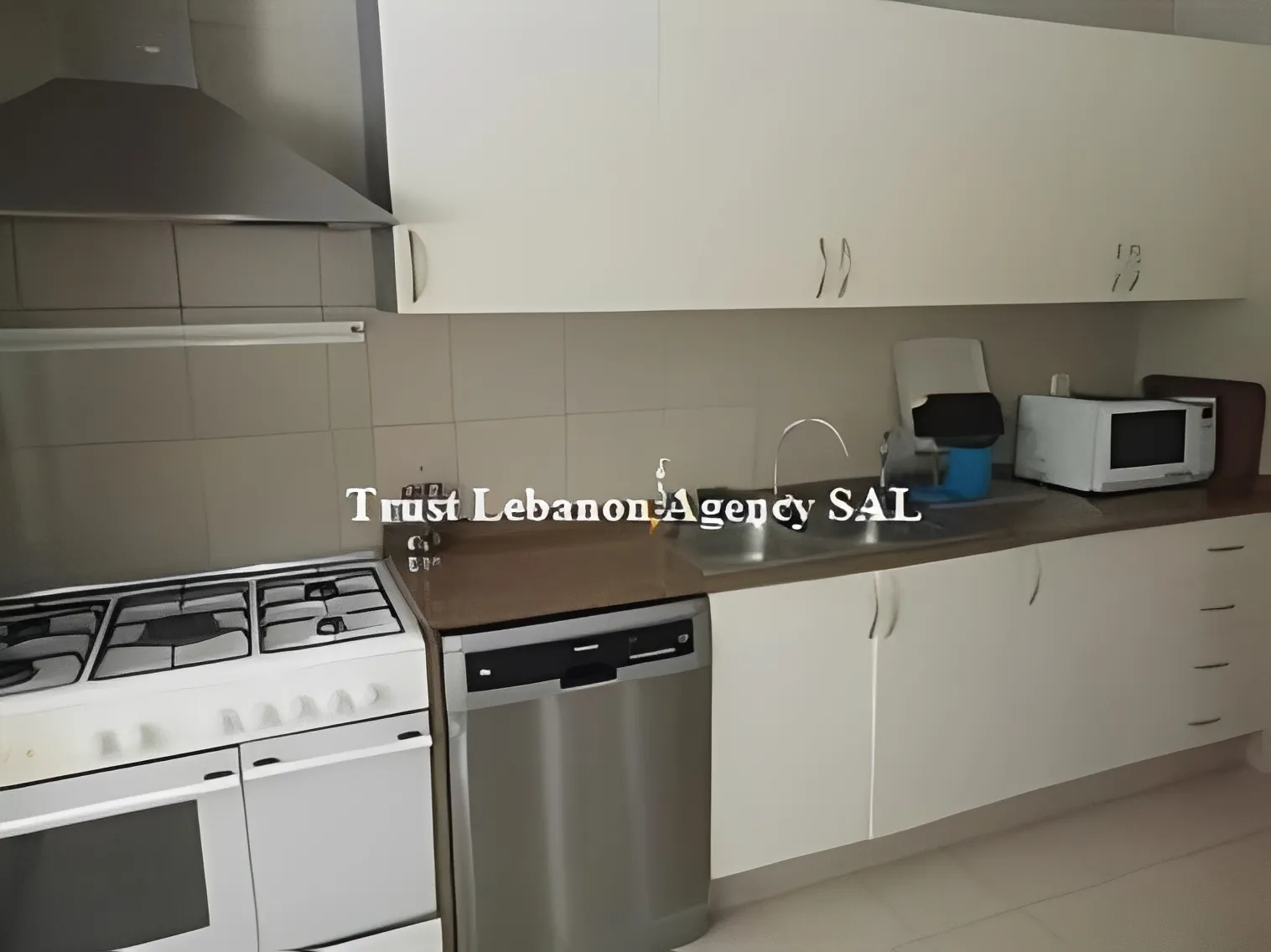Apartment for Rent in Ashrafieh Beirut Lebanon - 3 bed, 3 bath