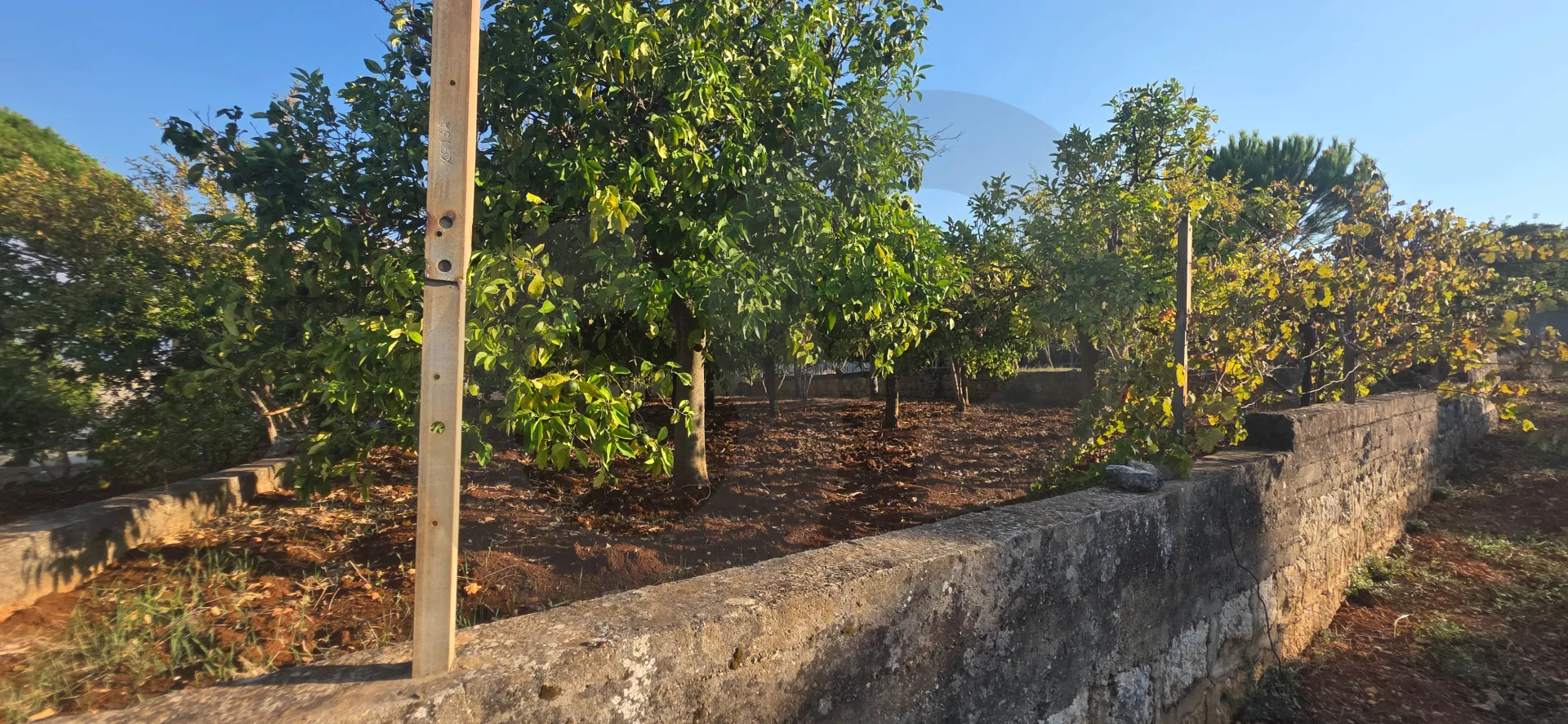 Land for Sale in Koura