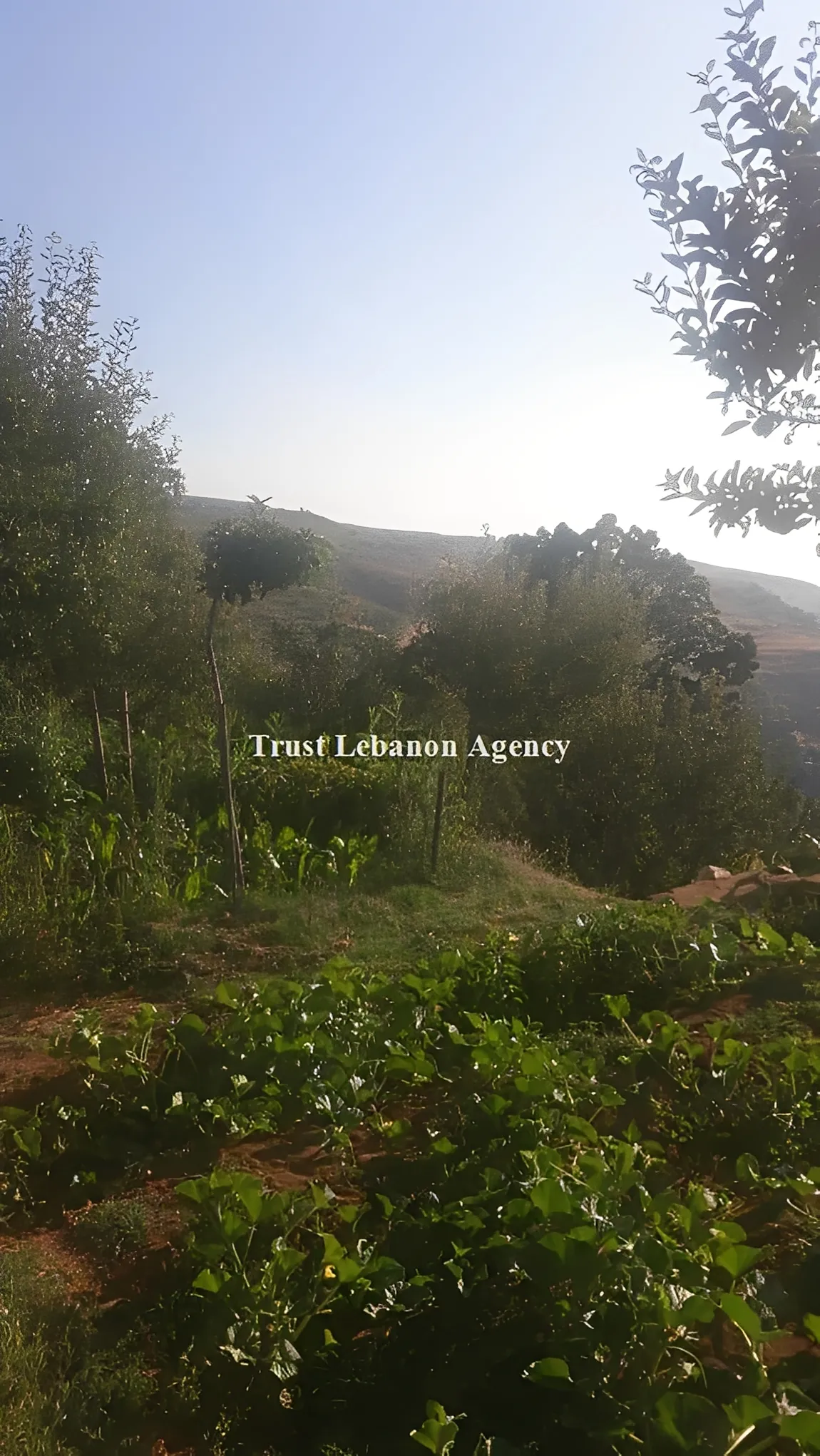 Land for Sale in Metn Mtein Lebanon