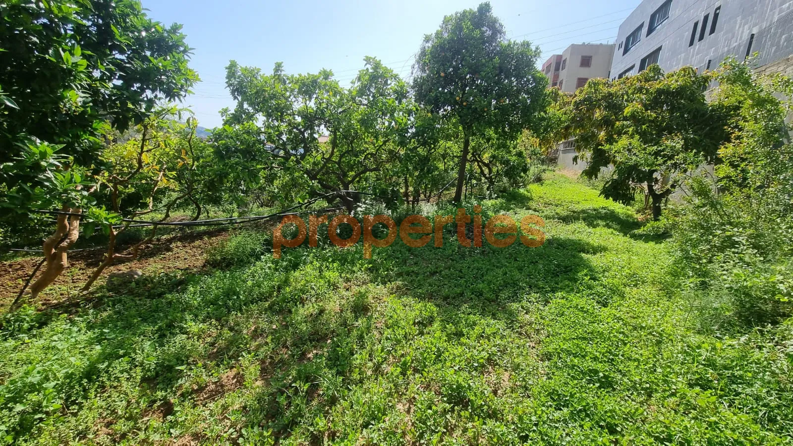 Residential Land for Rent in Kahaleh