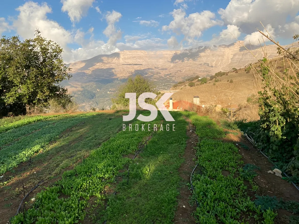 Land for Sale in Zaarour, Lebanon