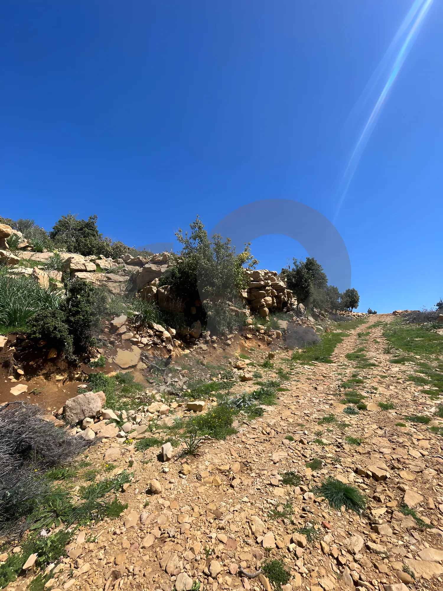 Land for Sale in Ehmej