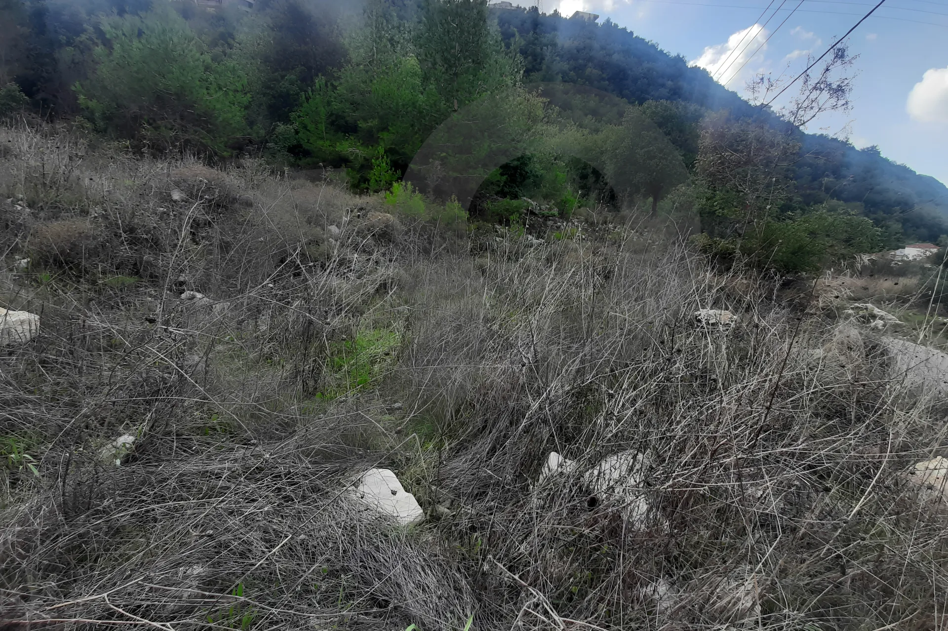 Land for Sale in Zebdine
