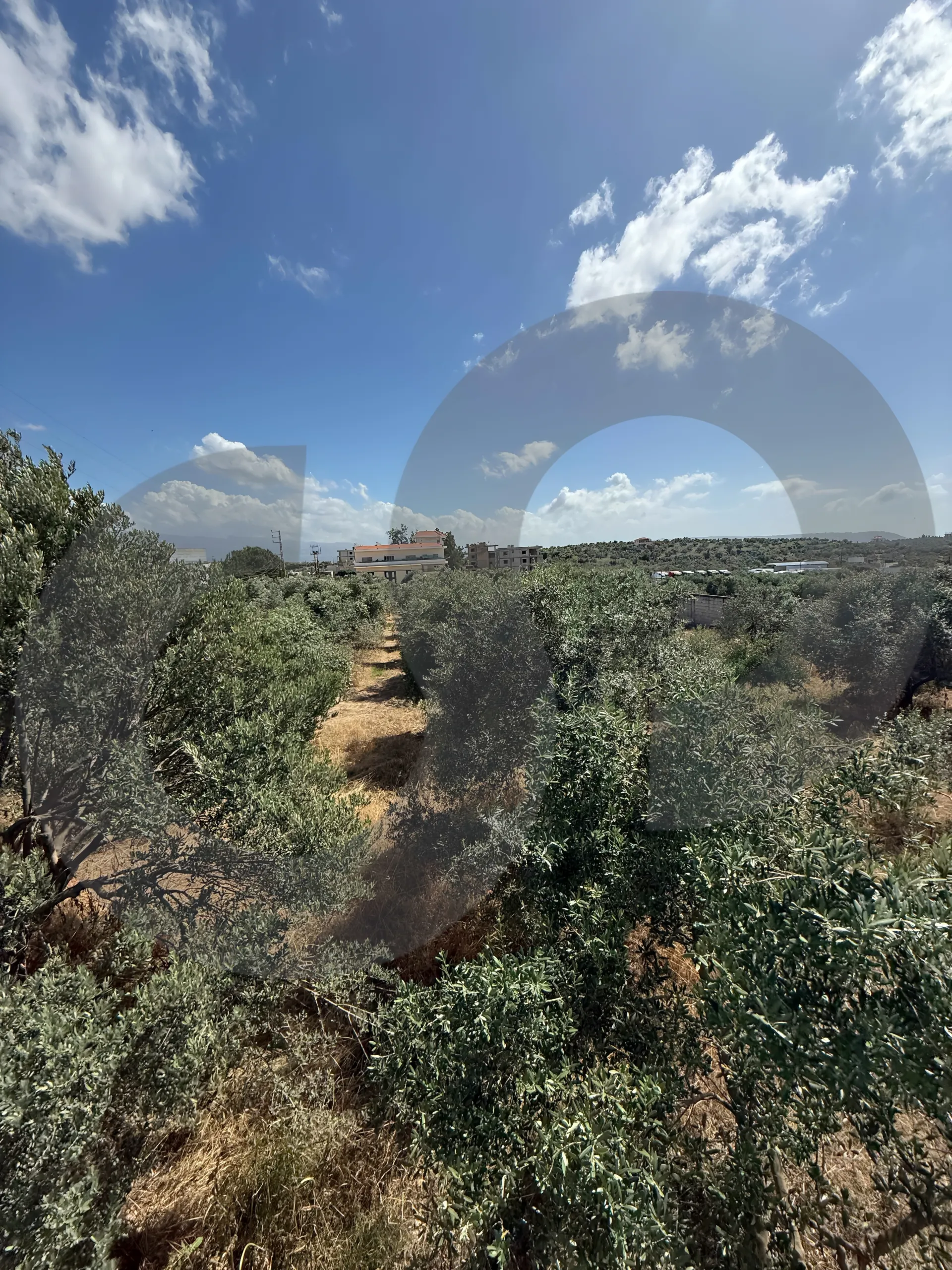 Land for Sale in Zgharta