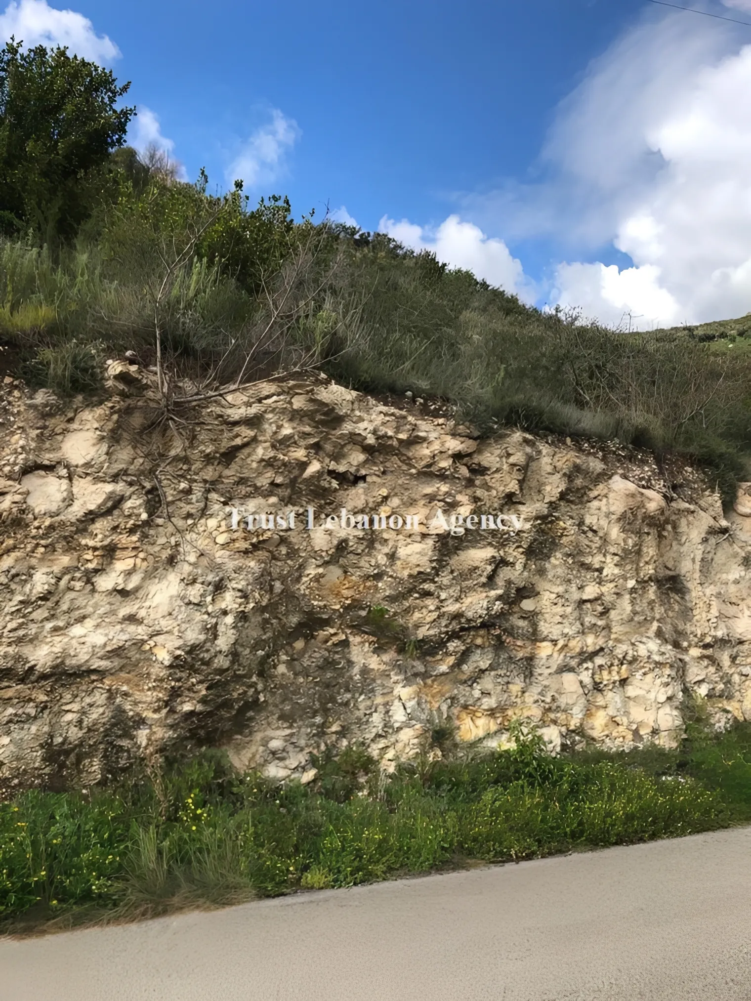 Land for Sale in South Jezzine