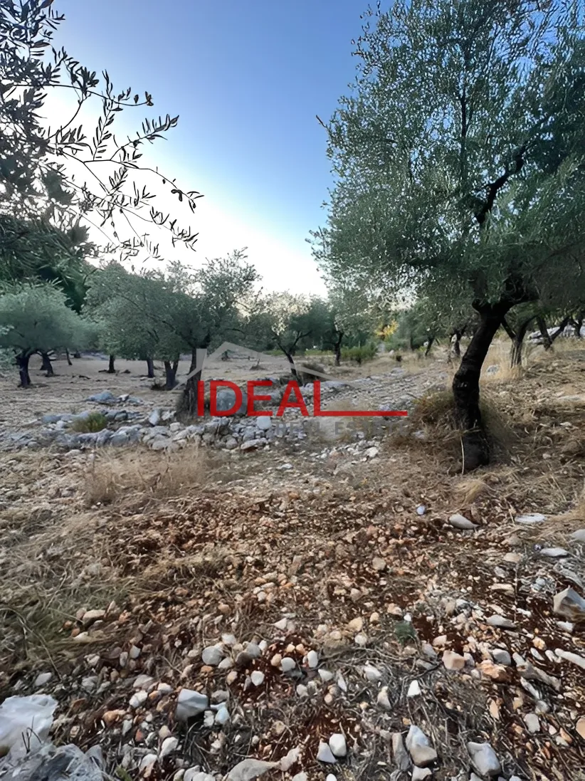 Land for Sale in Halta, Lebanon