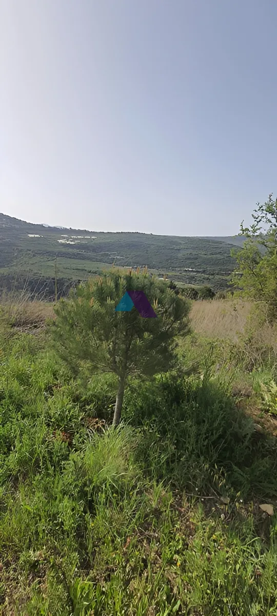 Land for Sale in Rechmaya