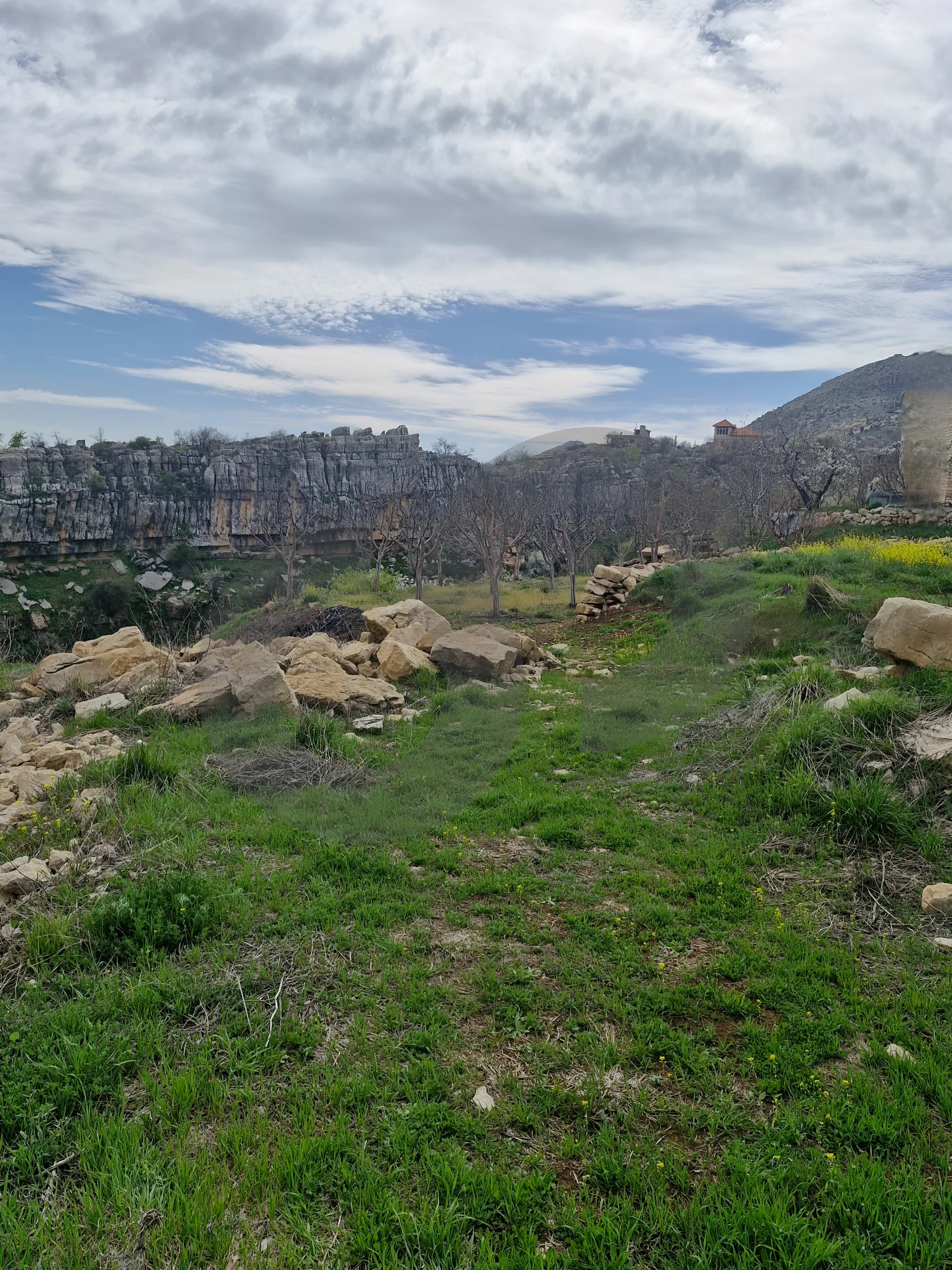 Land for Sale in Byblos