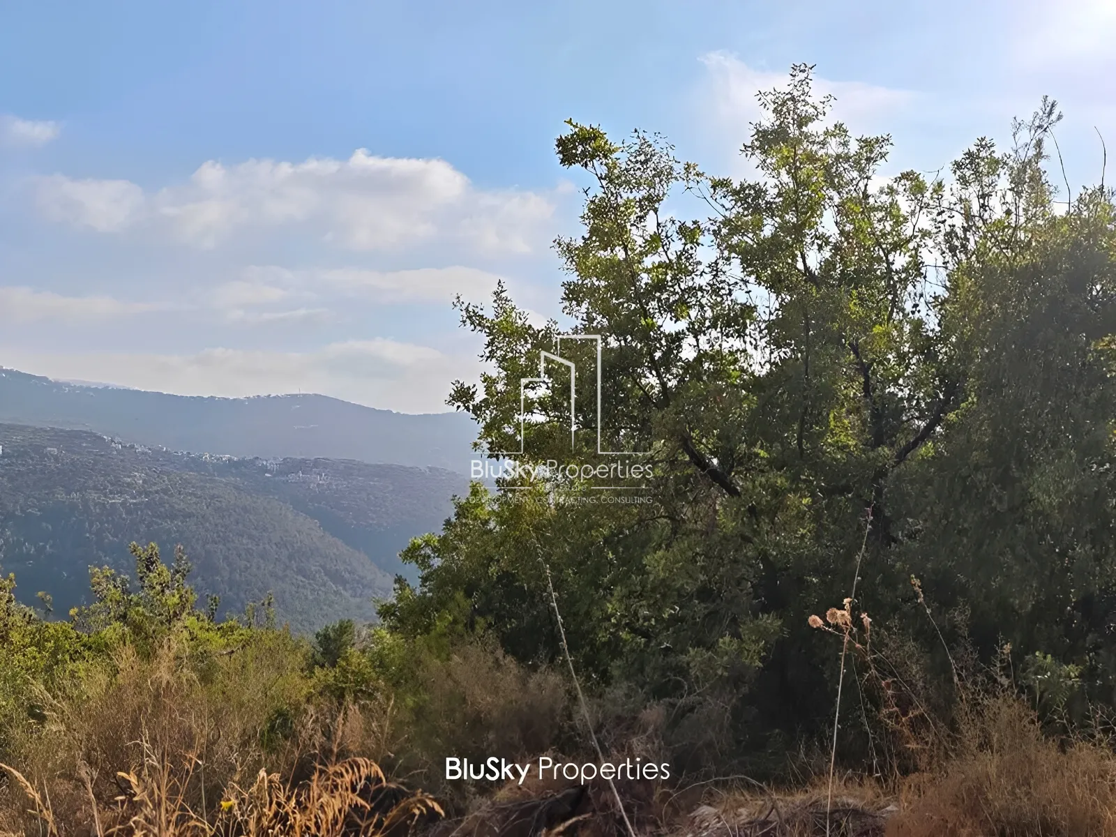 Land for Sale in Ouyoun Broumana