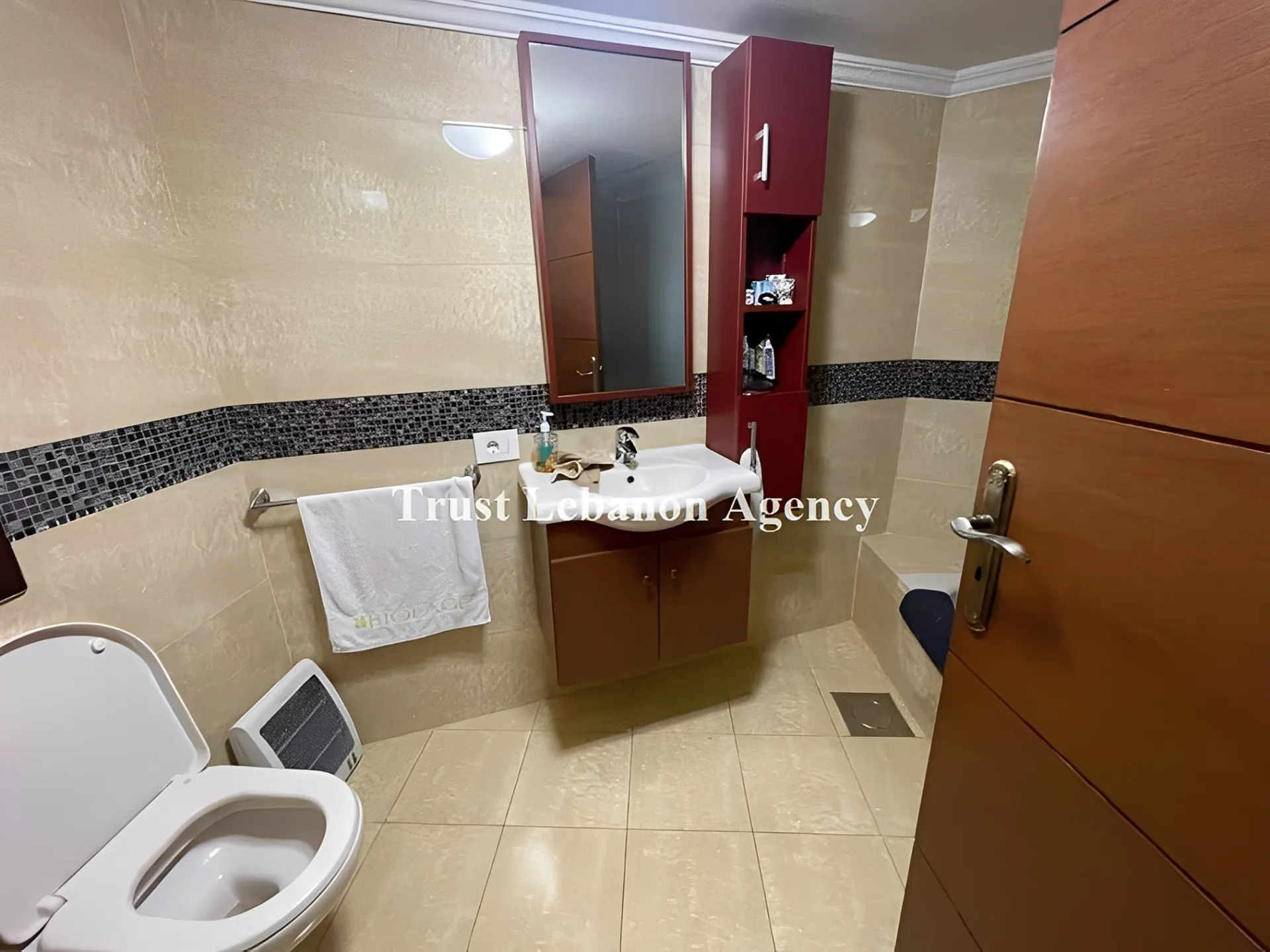 Apartment for Sale in Metn Monteverde Lebanon