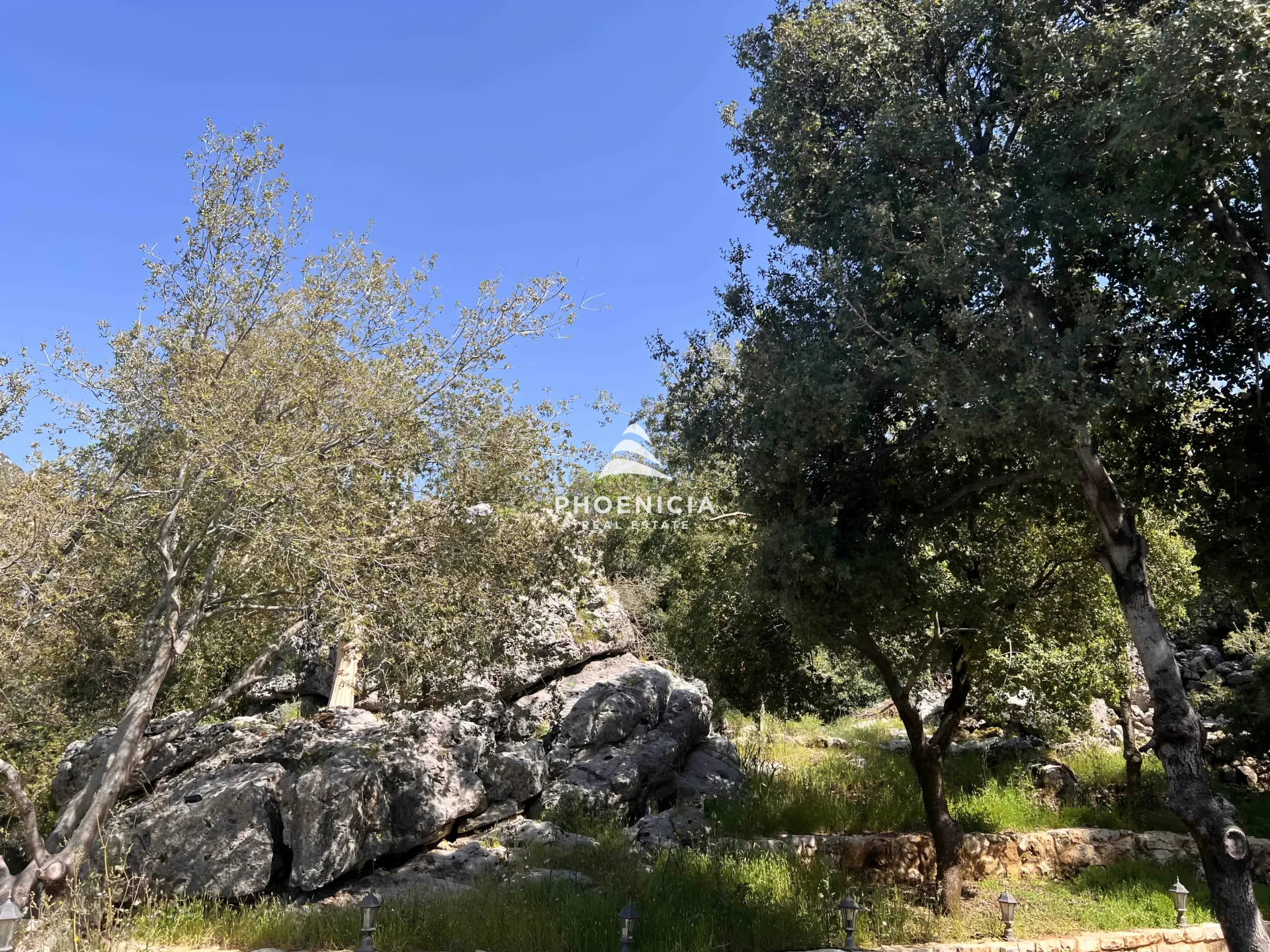 Land for Sale in Lehfed