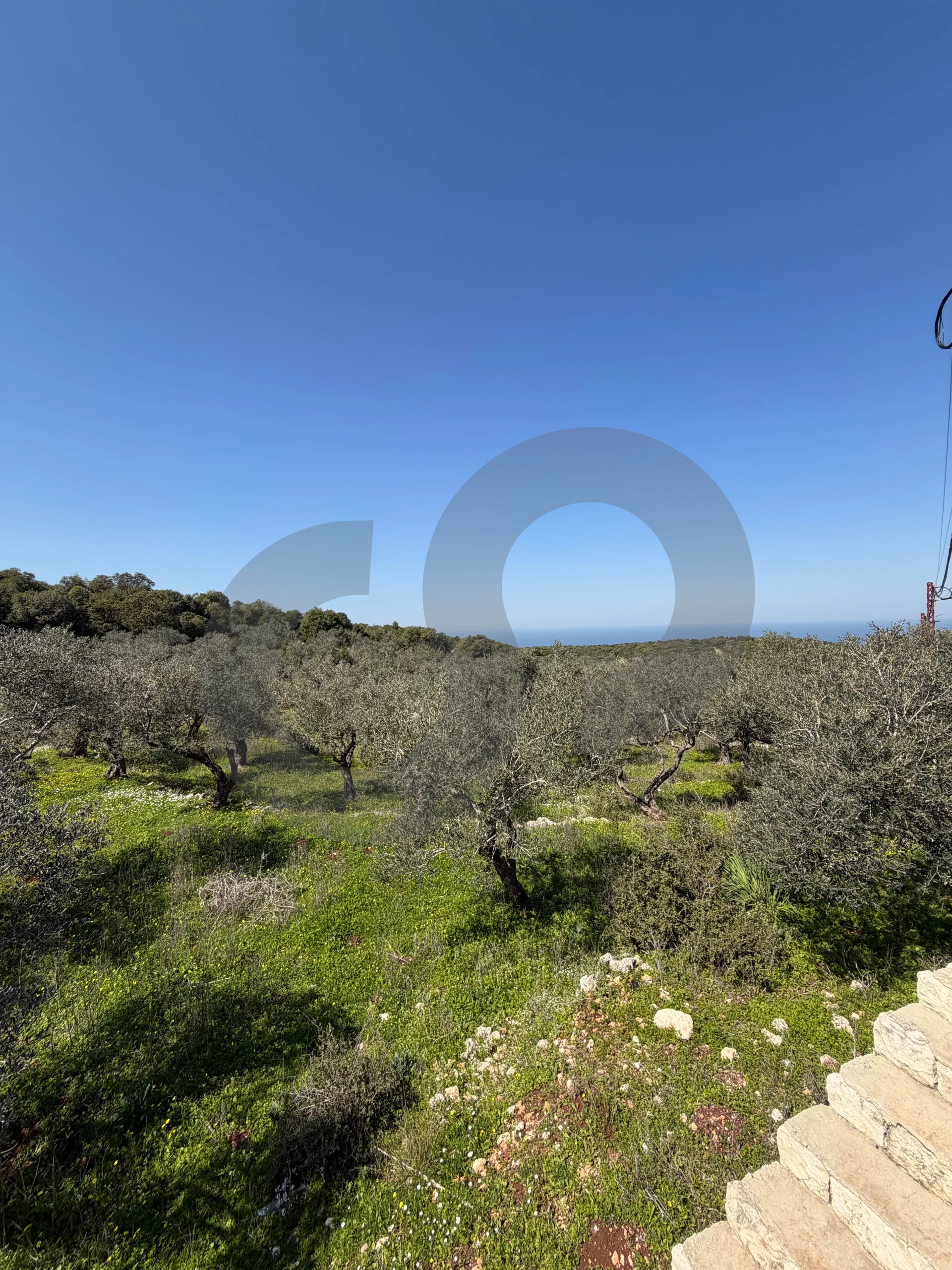 Land for Sale in Koura
