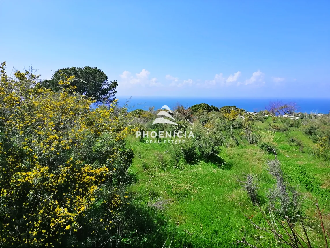 Land for sale in Chikhane, Jbeil, Lebanon