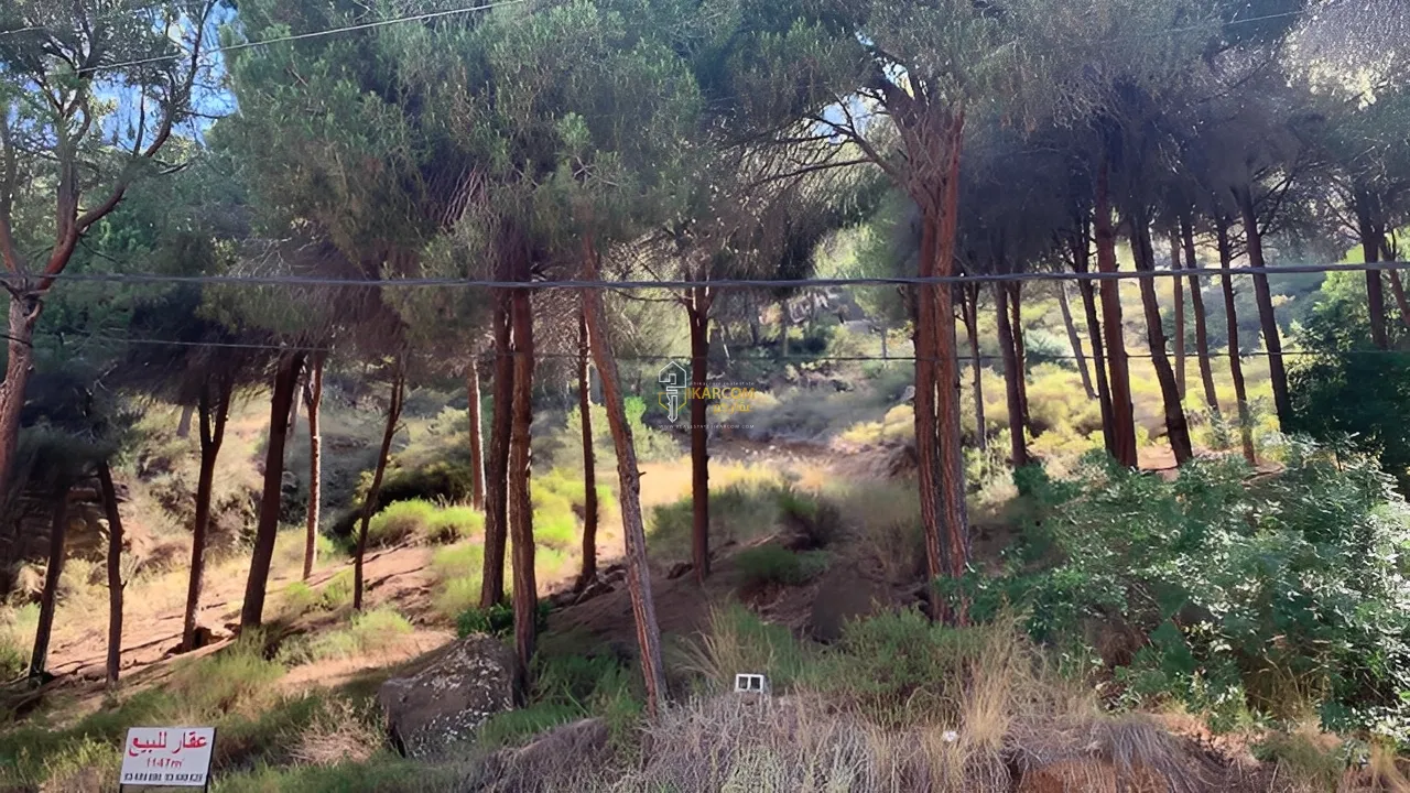 Land for Sale in Beit Meri