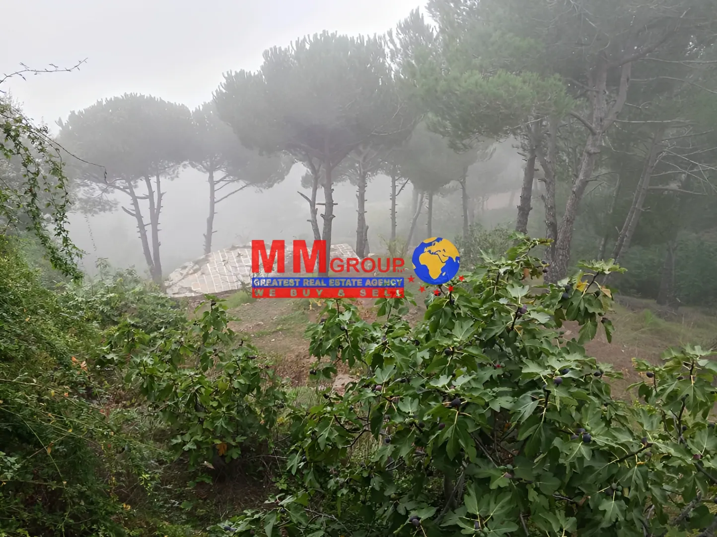 Land for sale in Bikfaya