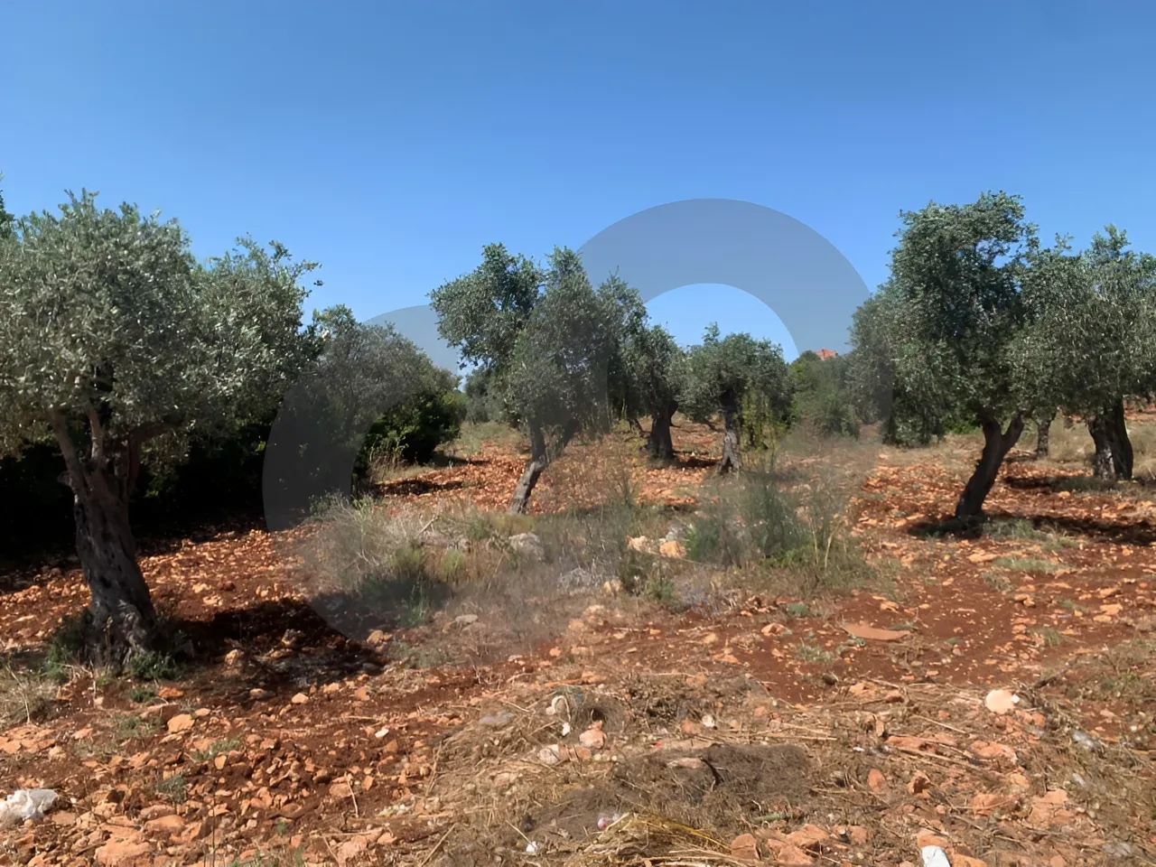 Land for Sale in Koura