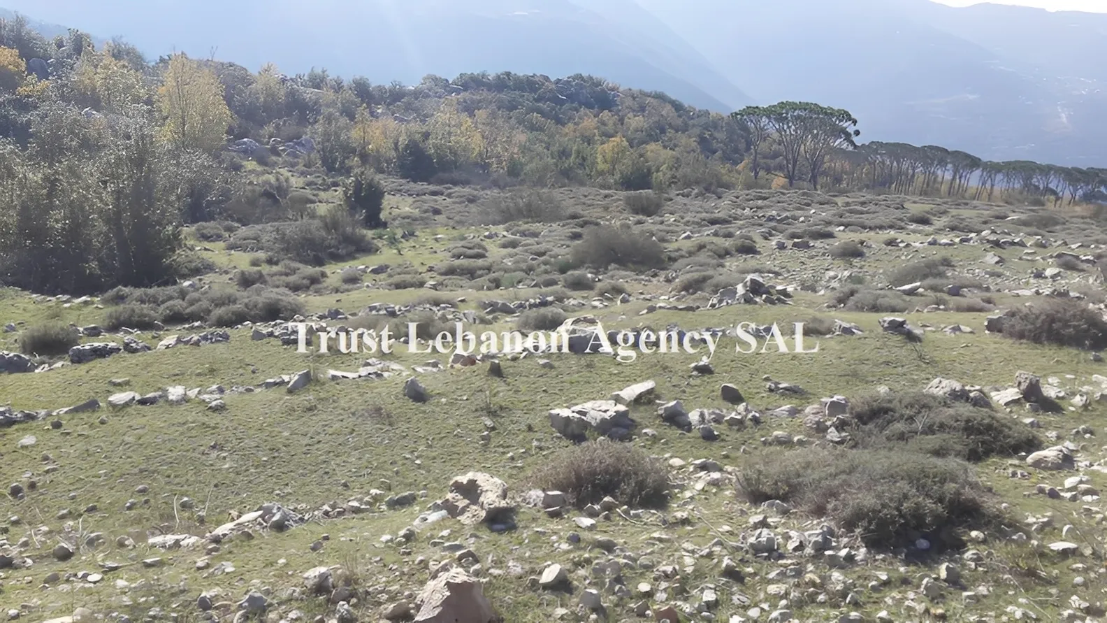 Land for Sale in Metn Mtein Lebanon