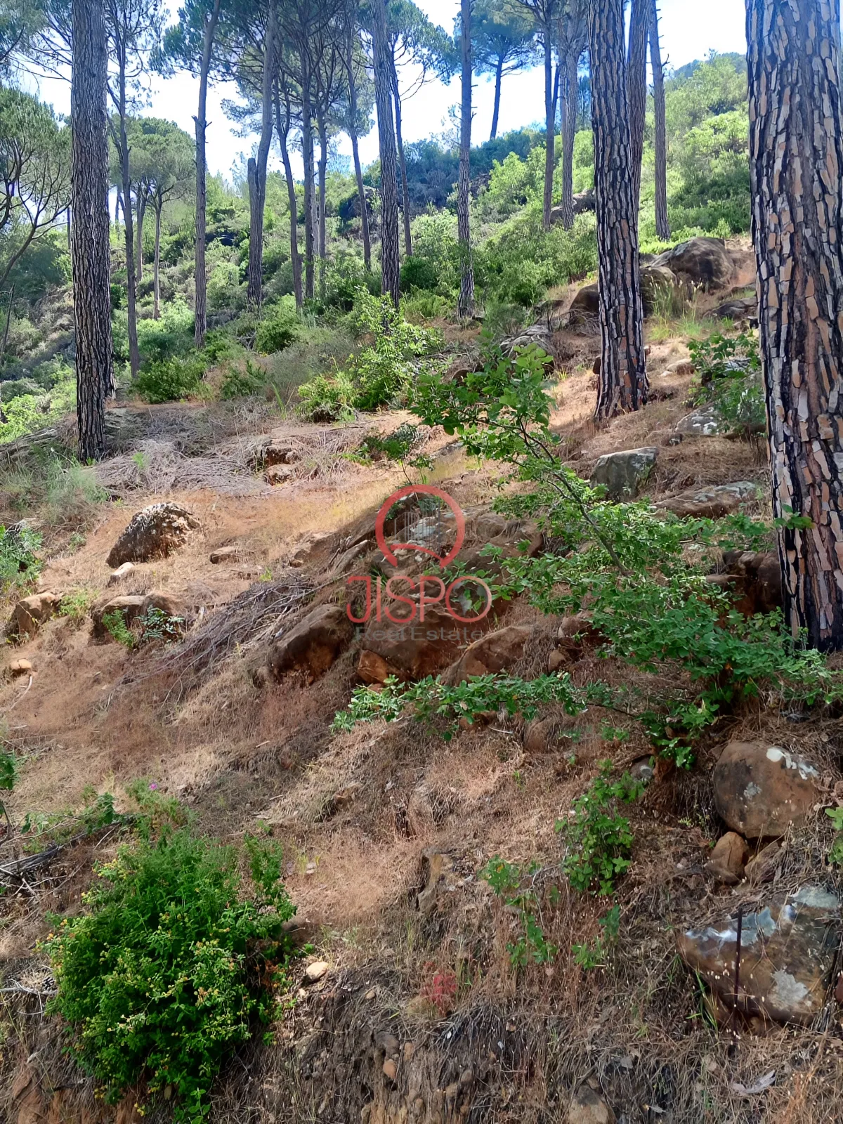 Land for Sale in Aley