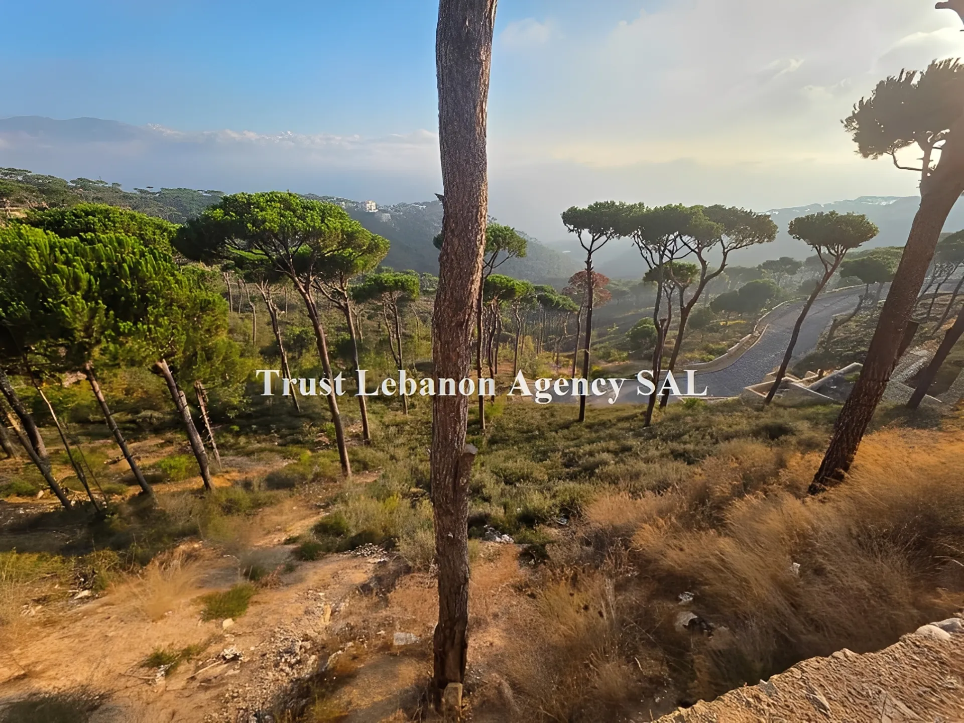 Land for Sale in Metn Ayroun Lebanon