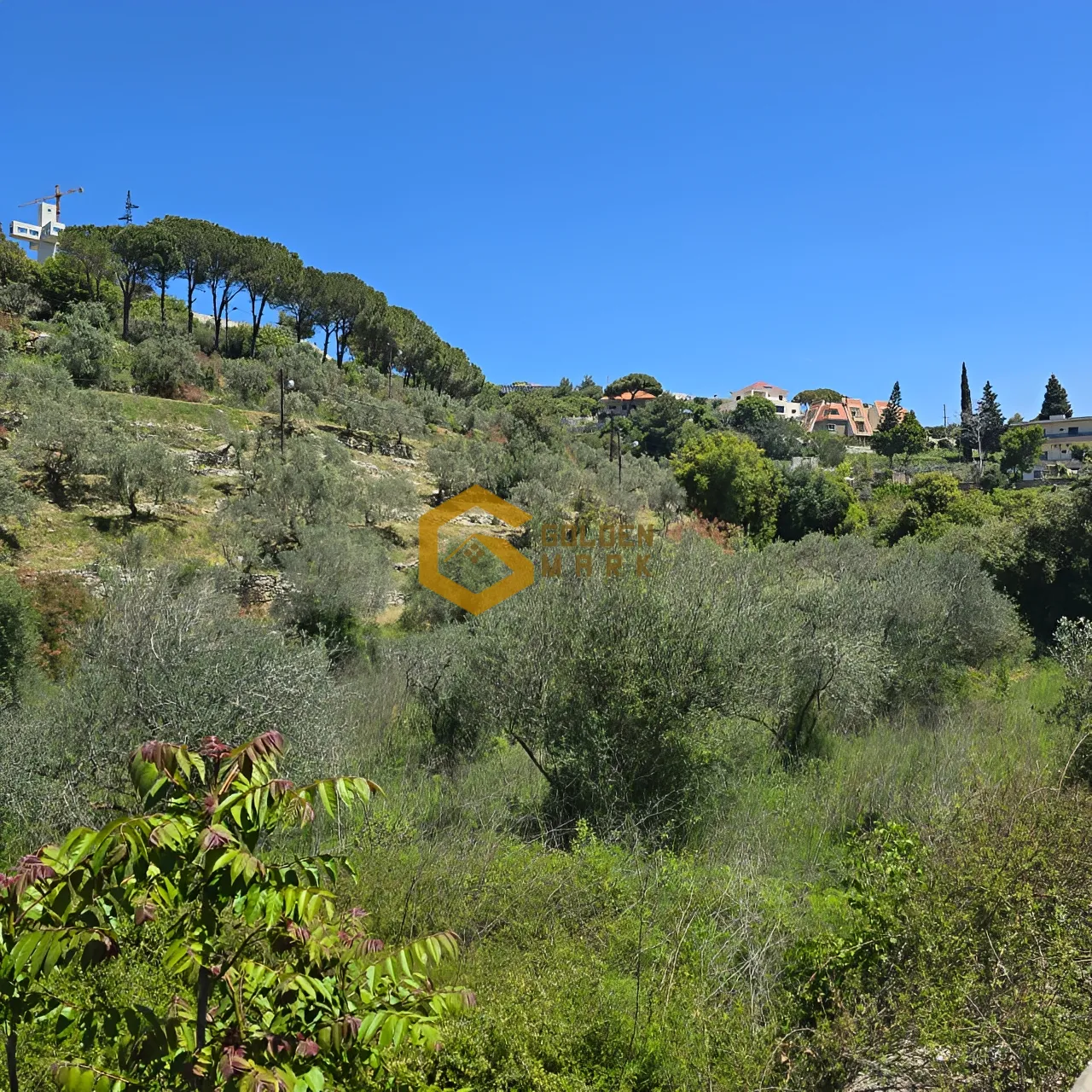 Land for Sale in Ijdabra