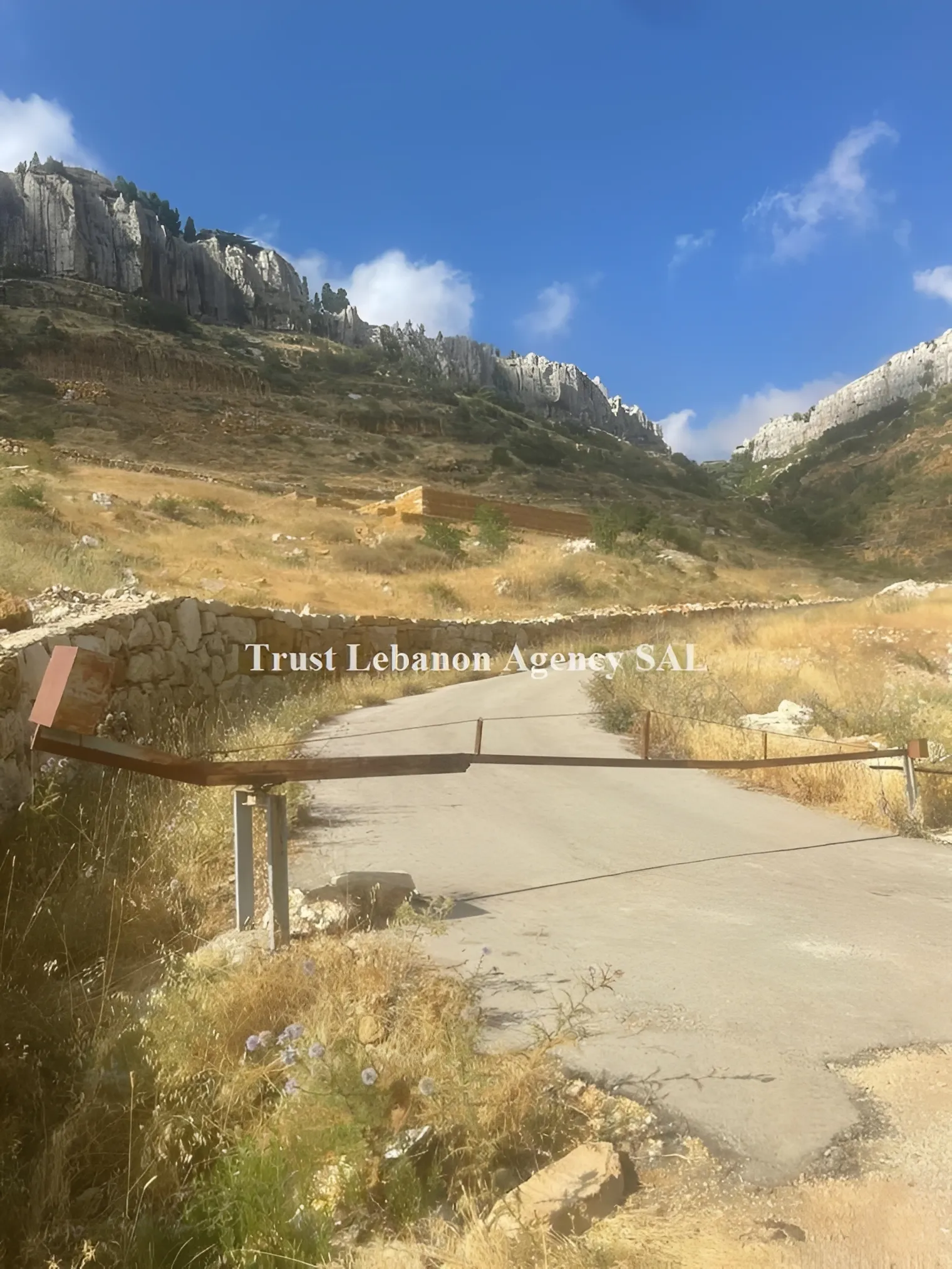 Land for Rent in Keserwan Faraya Lebanon
