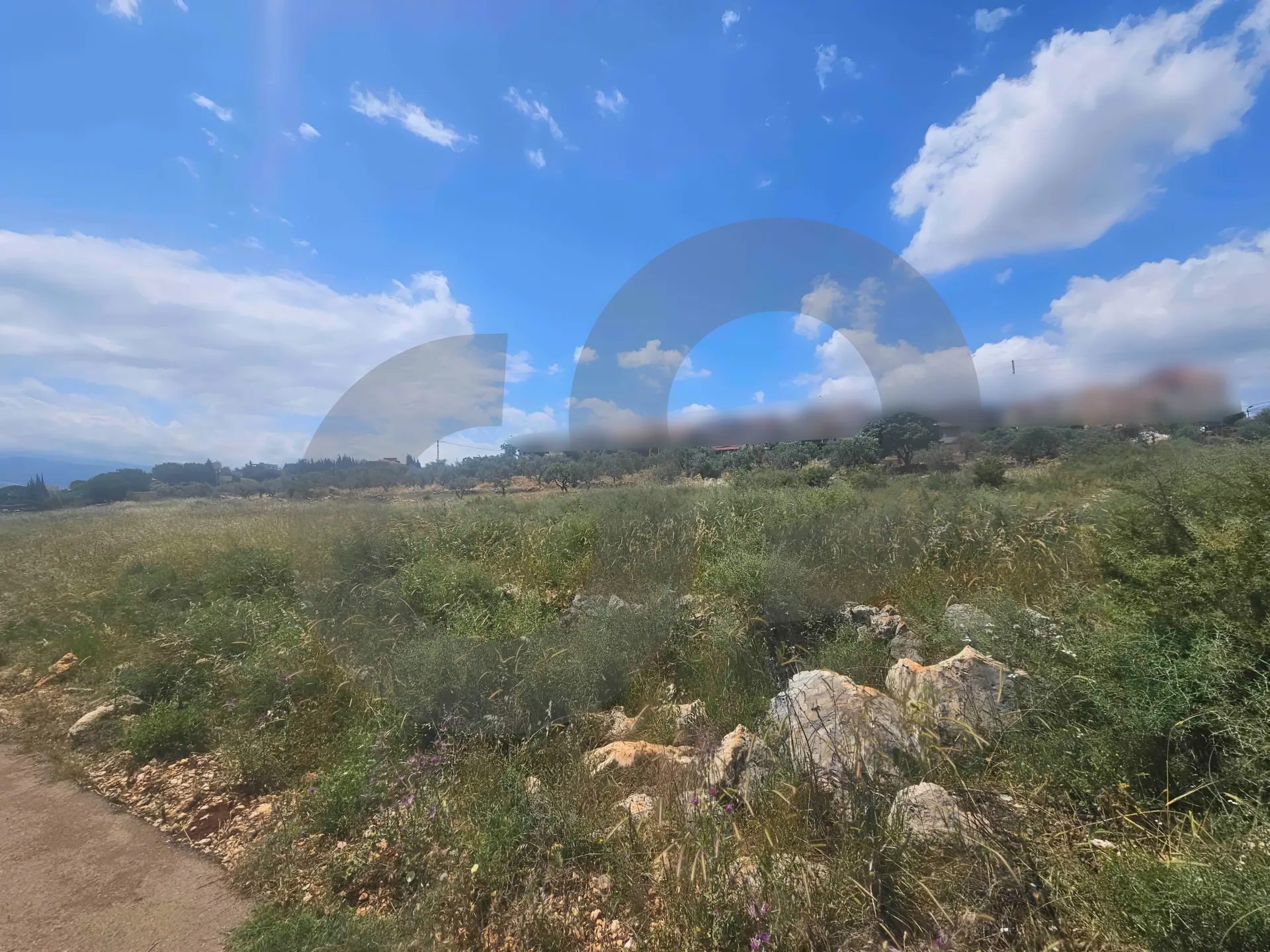 Land for Sale in Nakhleh
