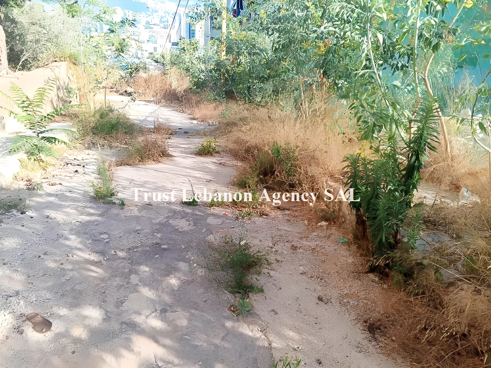 Land for Sale in Ashrafieh Beirut