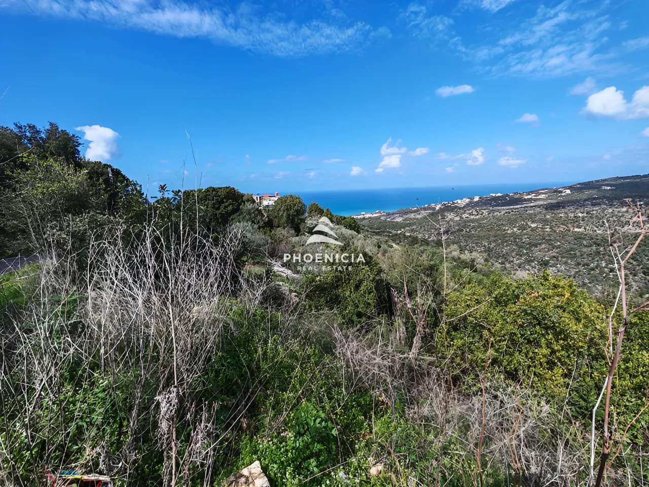 Land for Sale in Chikhane