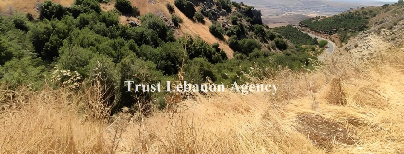 Land for Sale in Western Bekaa Ain Zebdeh