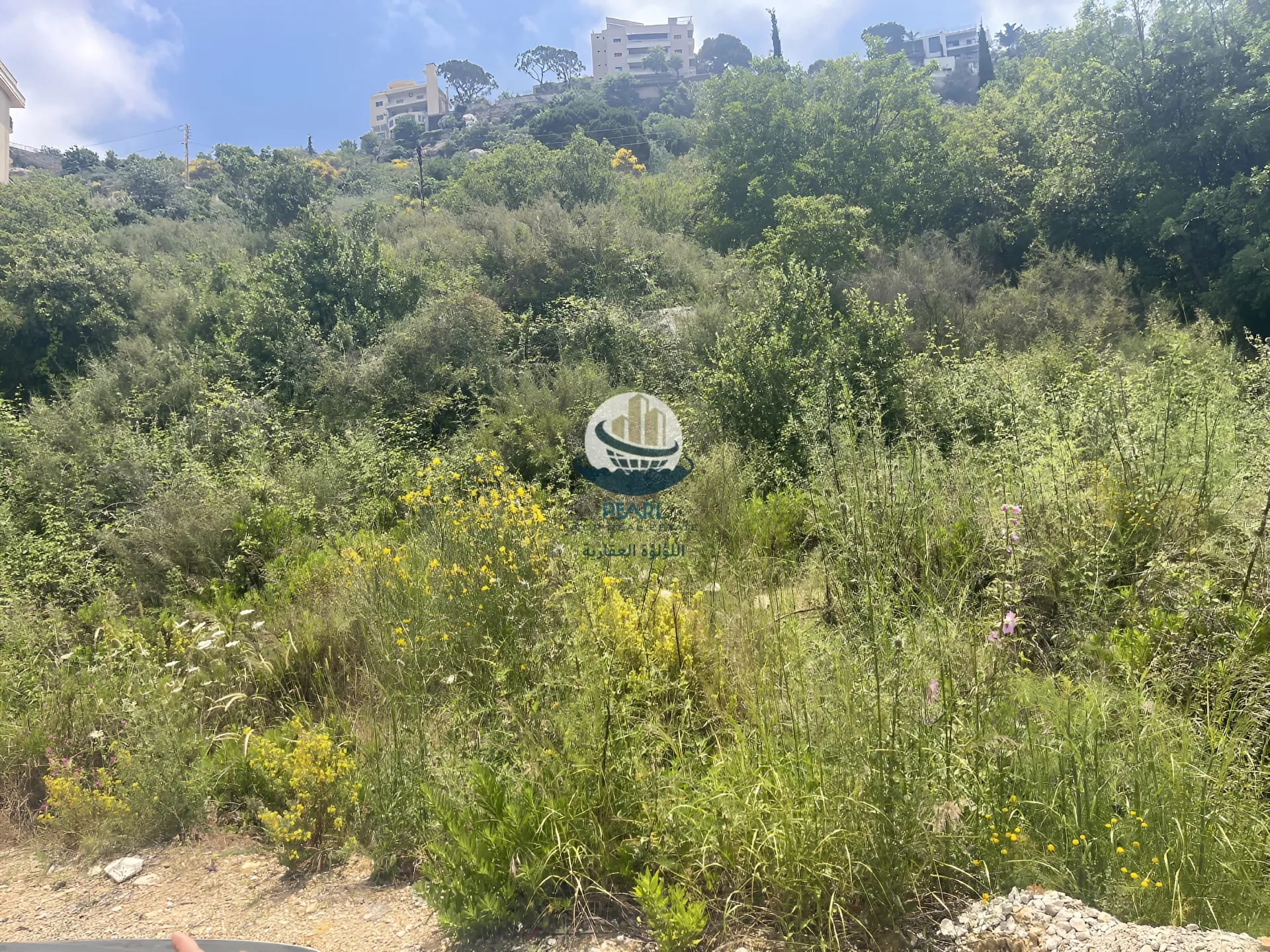 Land for sale in Ainab, lebanon