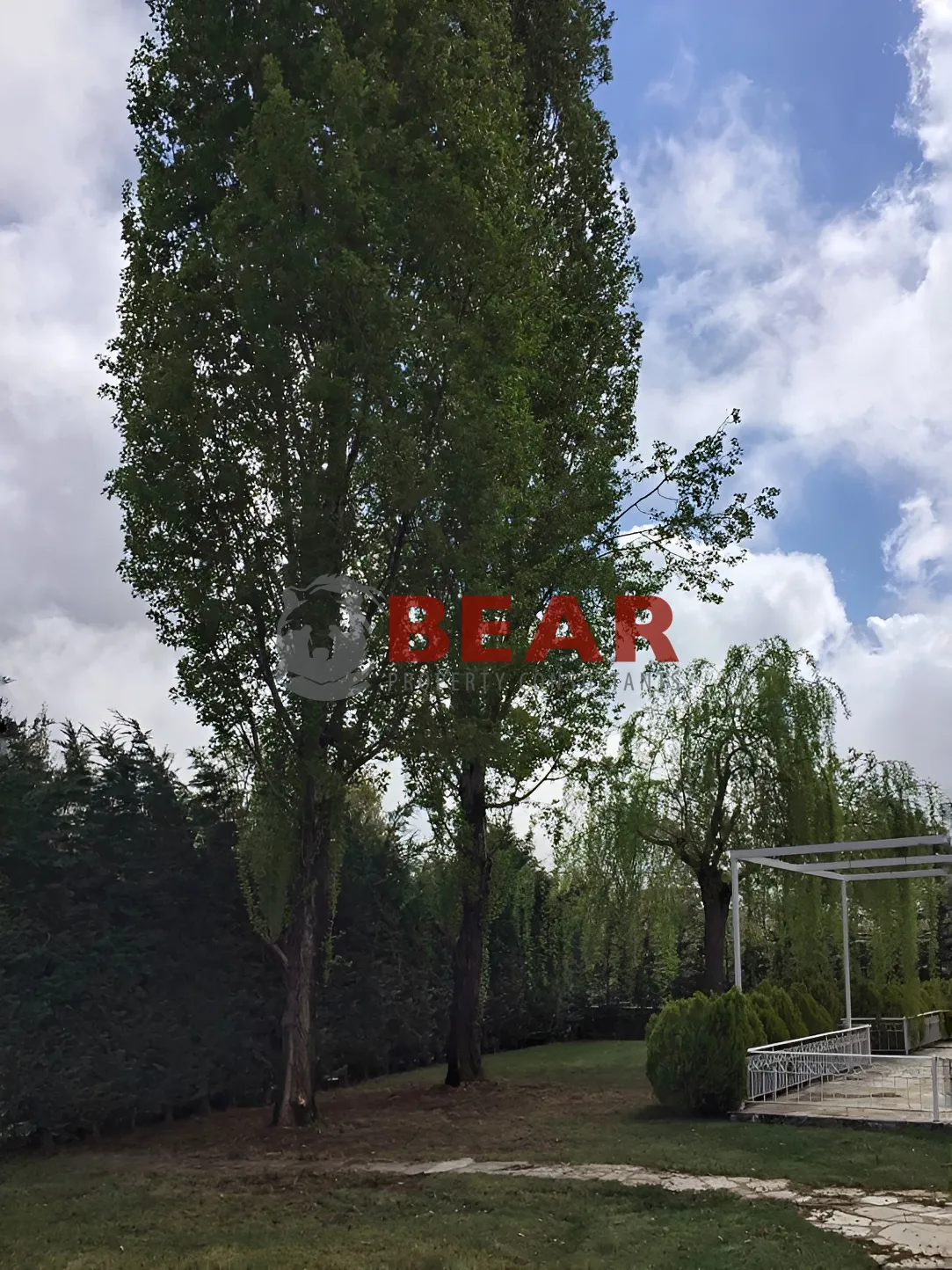 Villa for sale in Ashqout, Lebanon