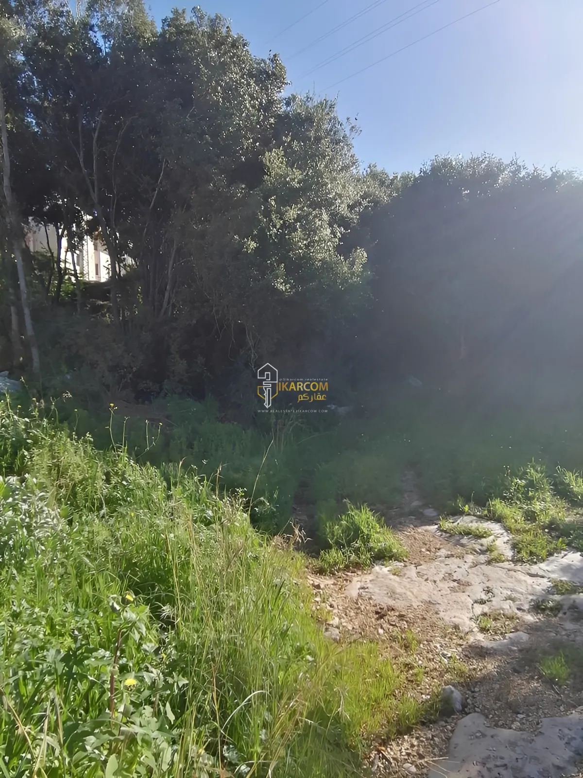 Land for Sale in Adma