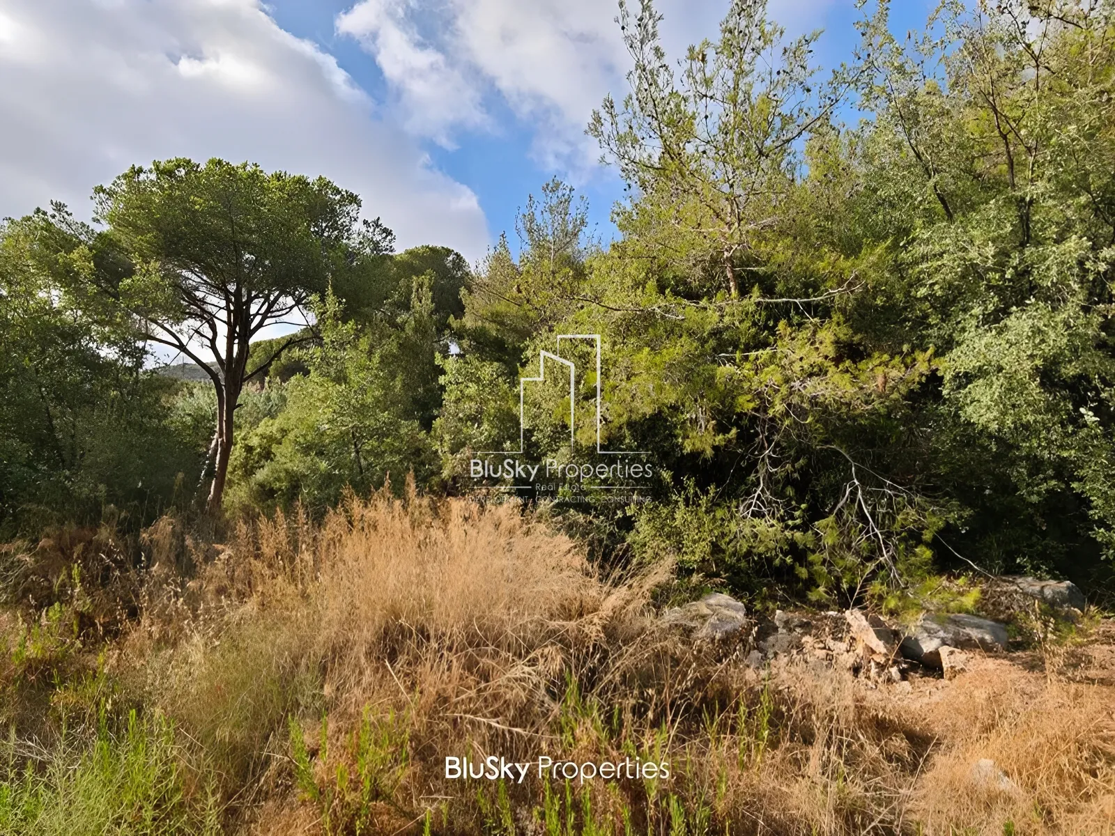 Land for Sale in Ouyoun Broumana