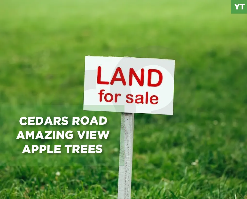 Land for Sale in Bsharri