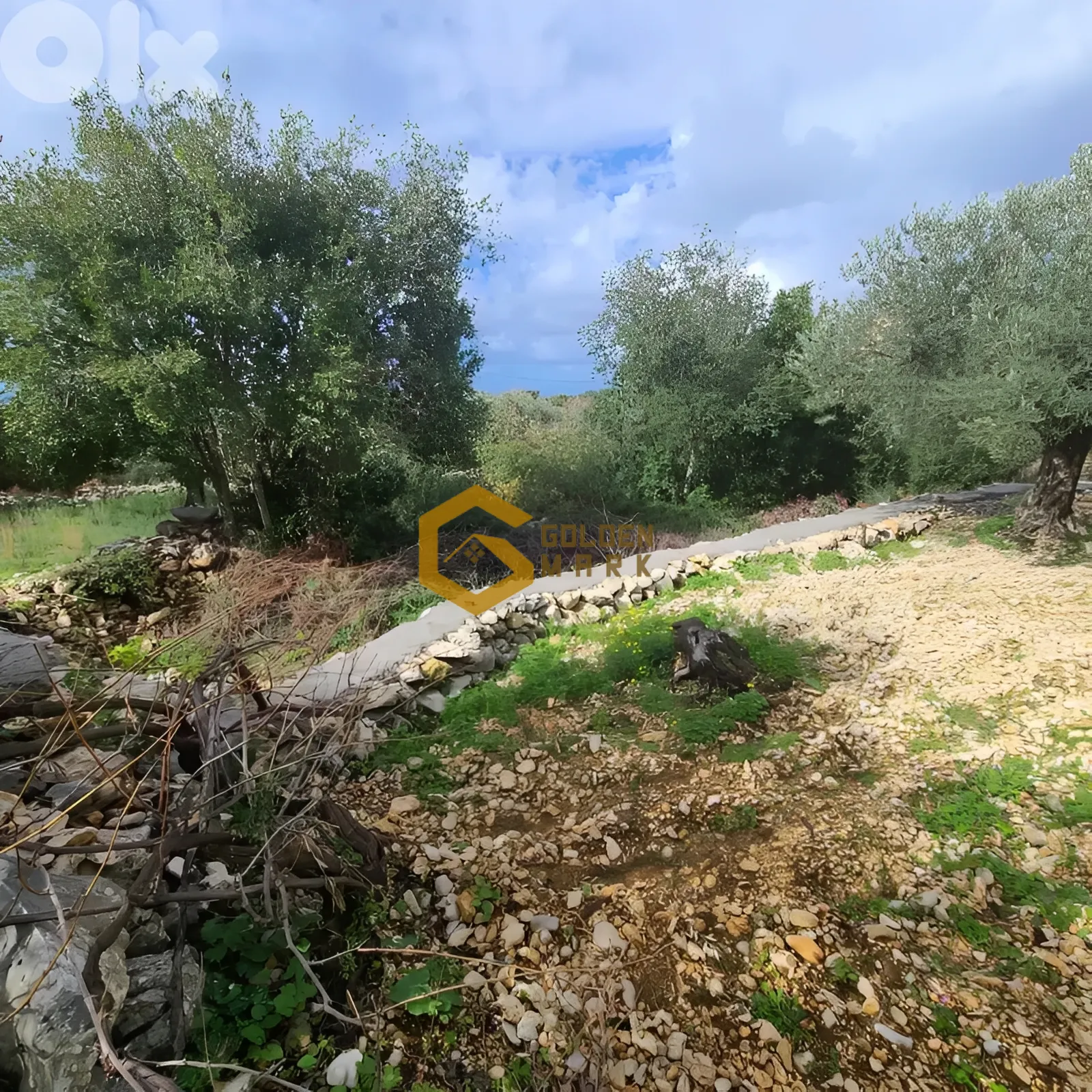 Land for Sale in Byblos