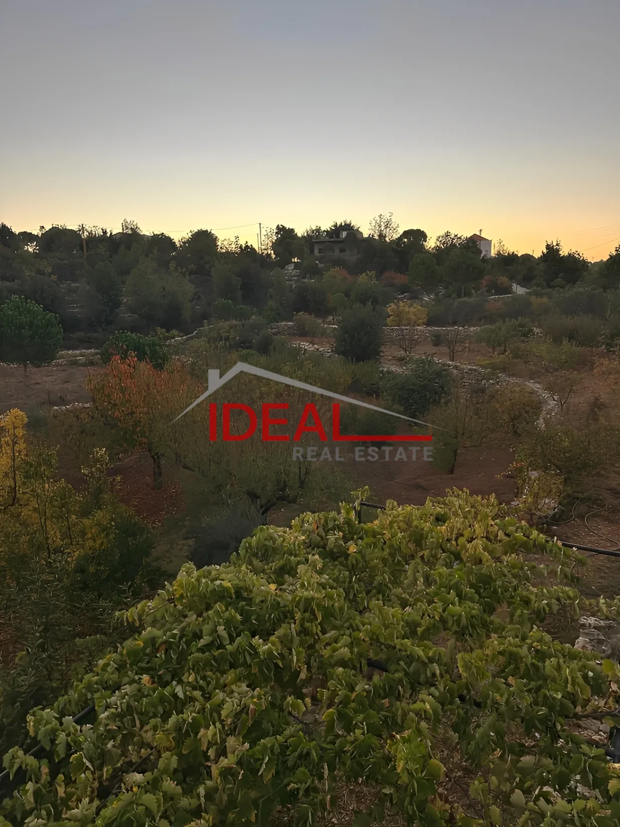 Land for Sale in Baadaran, Lebanon