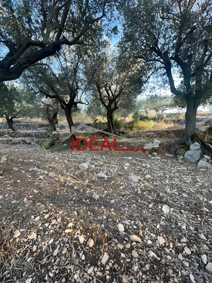 Land for Sale in Halta, Lebanon